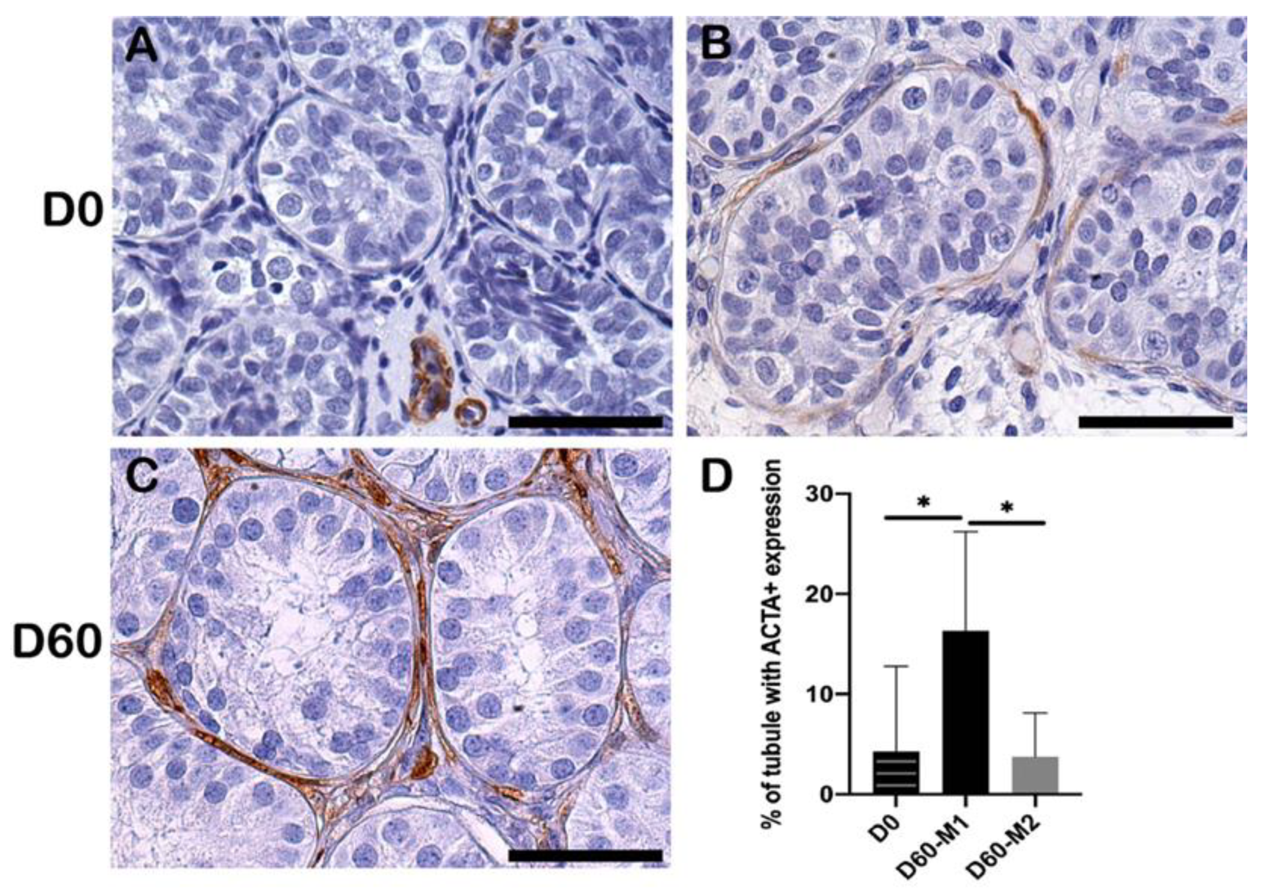 Ijms 23 07975 g005 Ijms 23 07975 g005
