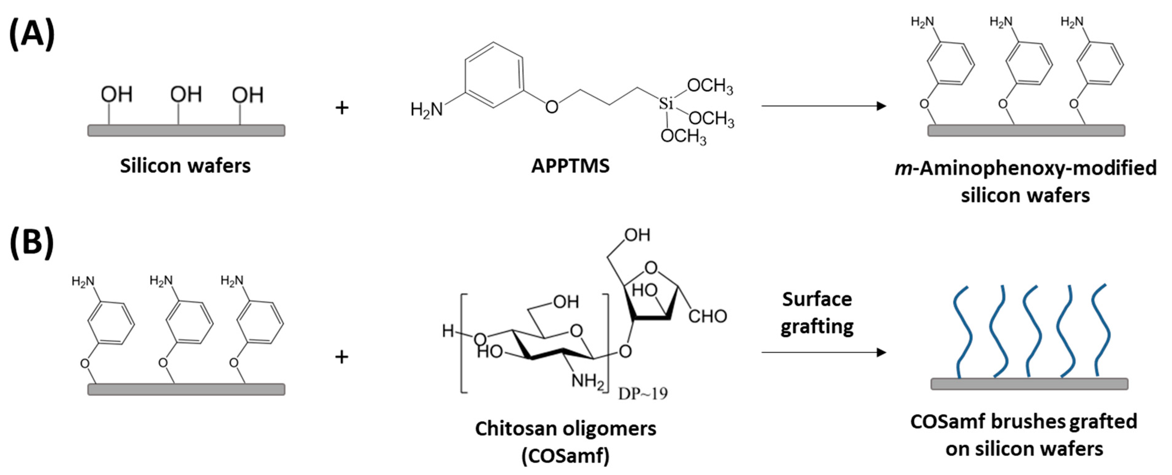 Ijms 23 08013 sch001