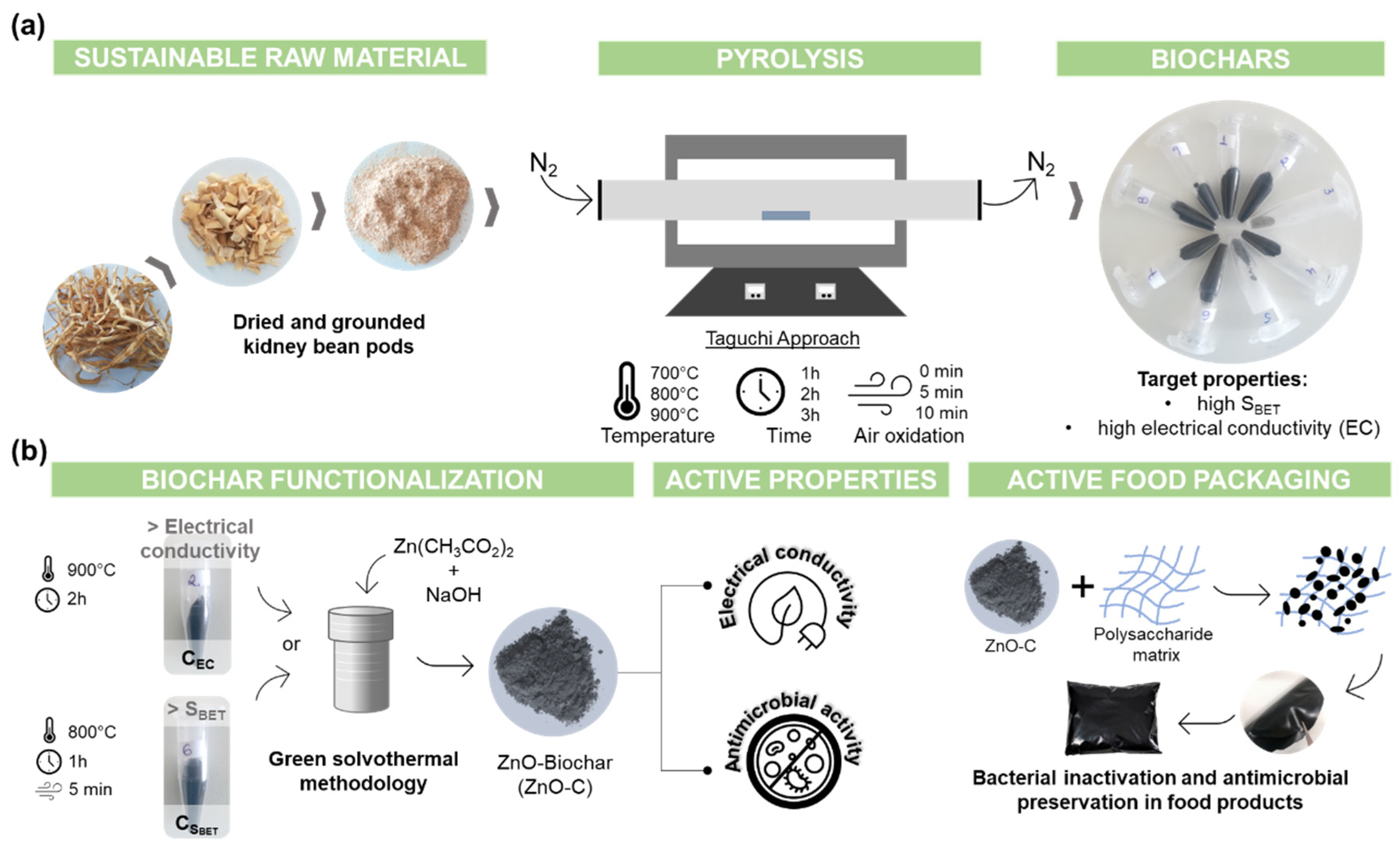 Ijms 23 08022 g001 Ijms 23 08022 g001