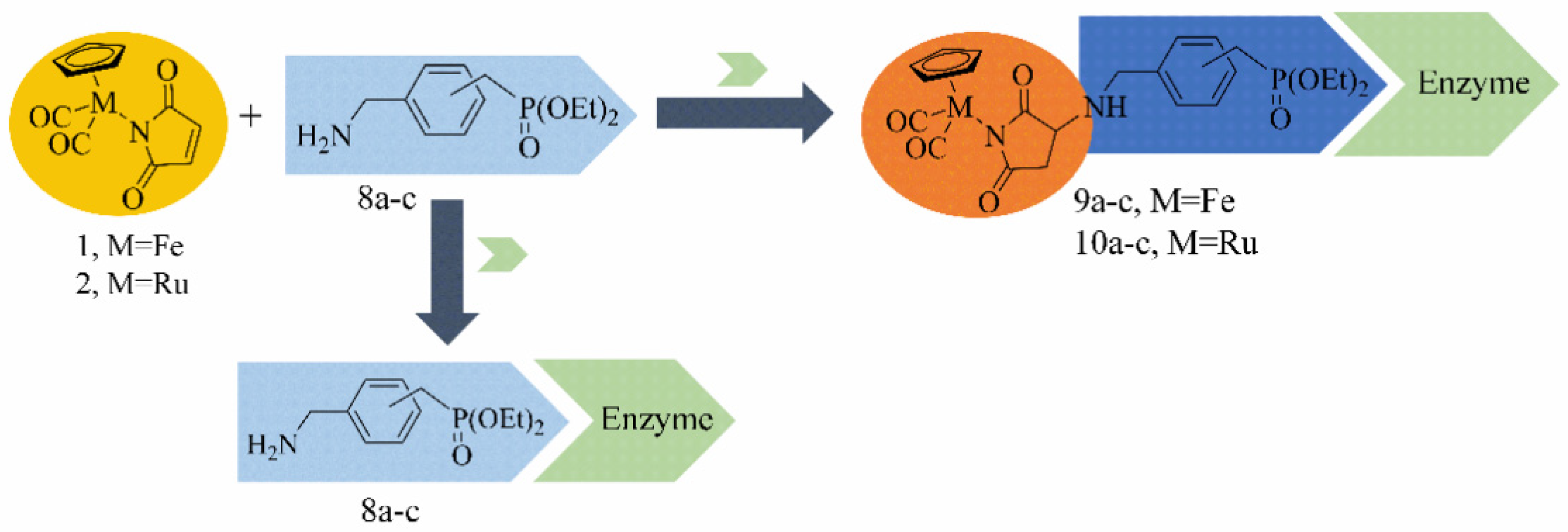 Ijms 23 08091 sch002