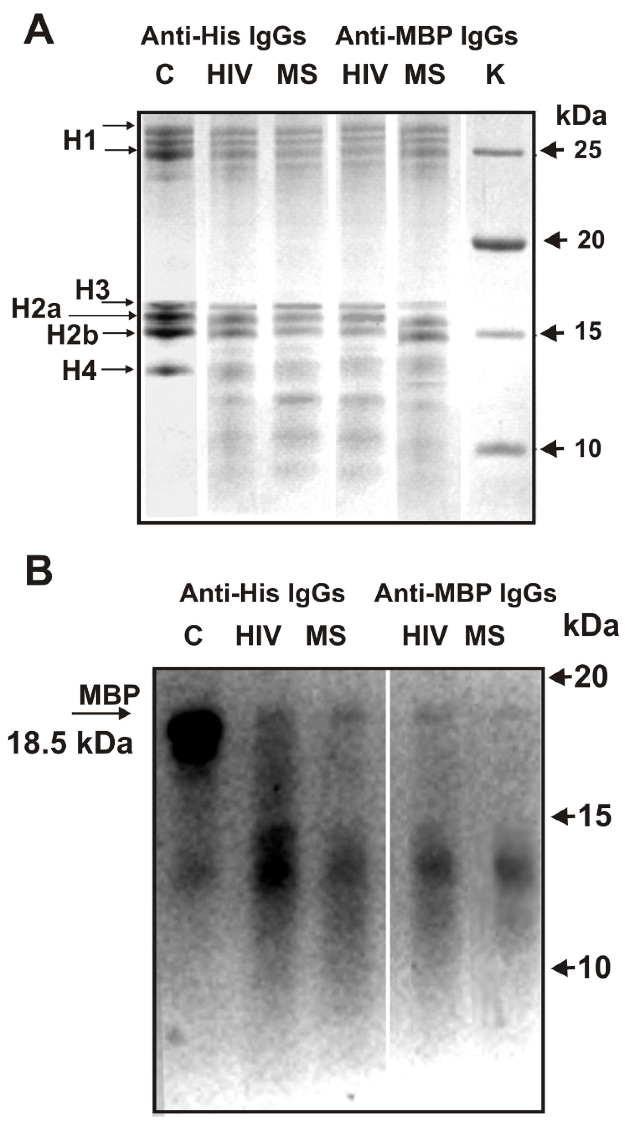 Ijms 23 08102 g002 Ijms 23 08102 g002