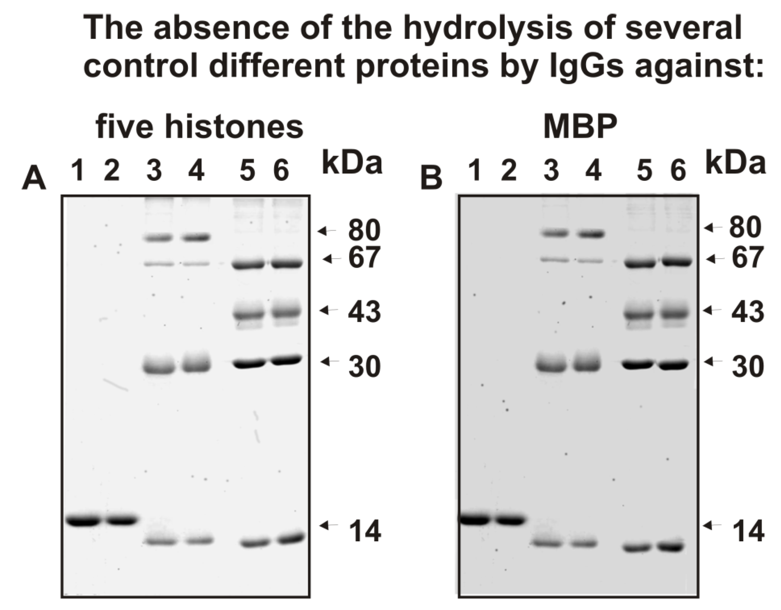 Ijms 23 08102 g003 Ijms 23 08102 g003