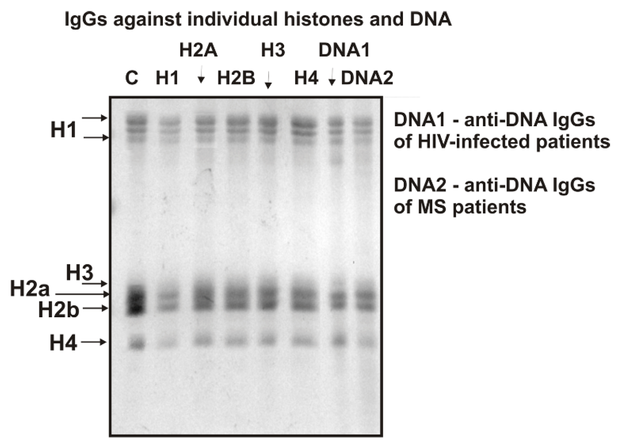 Ijms 23 08102 g004 Ijms 23 08102 g004