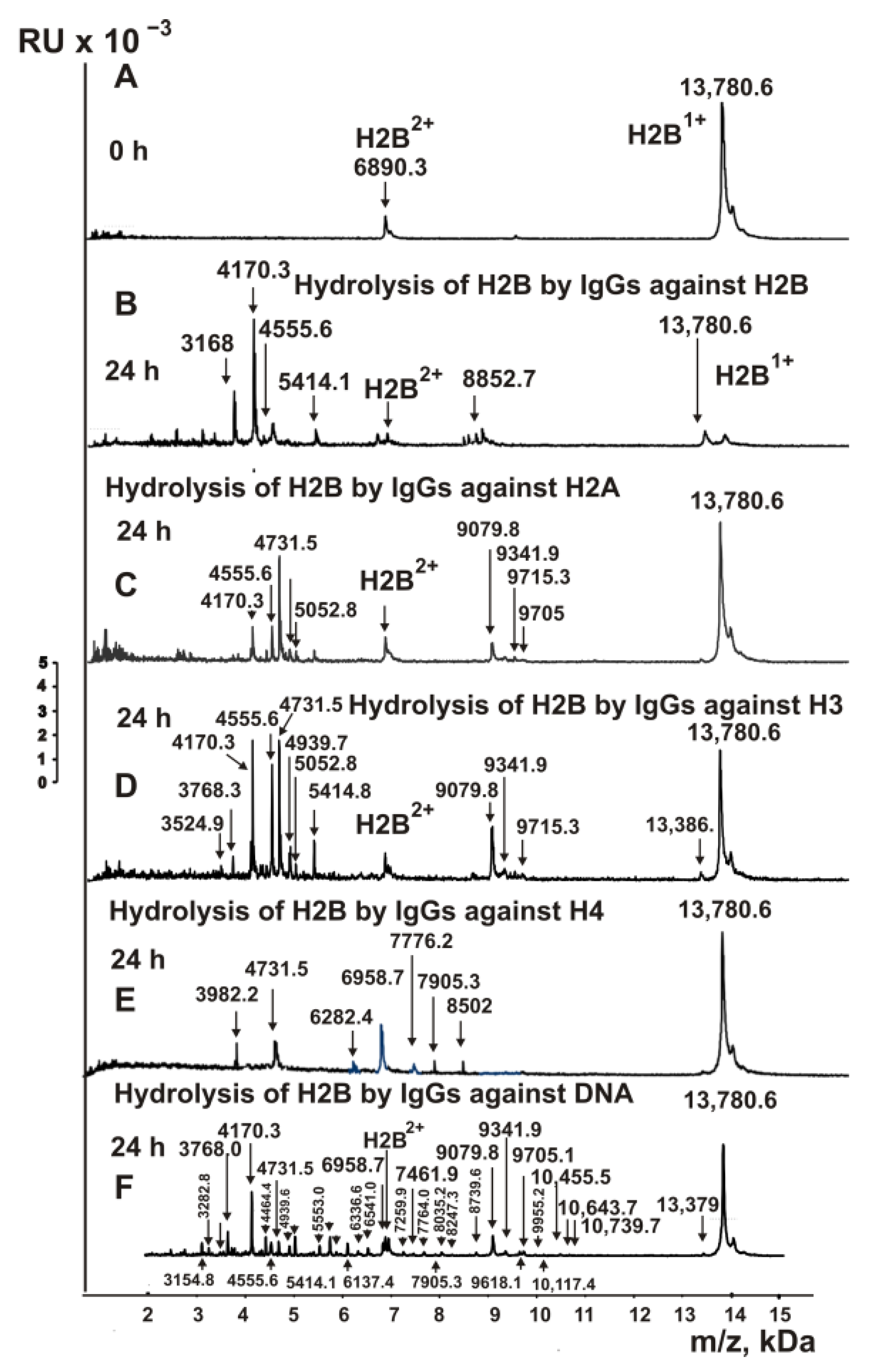 Ijms 23 08102 g005 Ijms 23 08102 g005