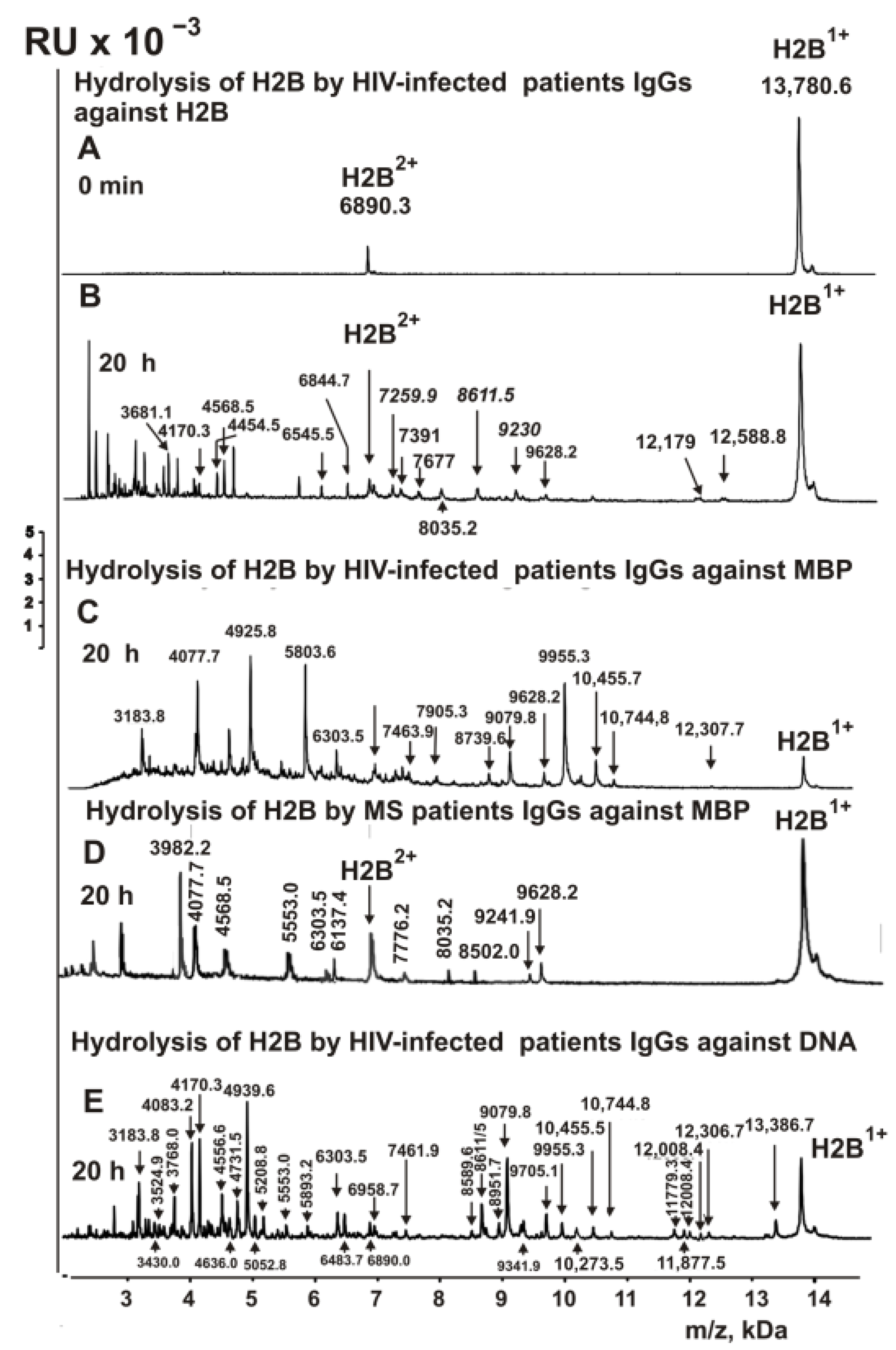 Ijms 23 08102 g007 Ijms 23 08102 g007