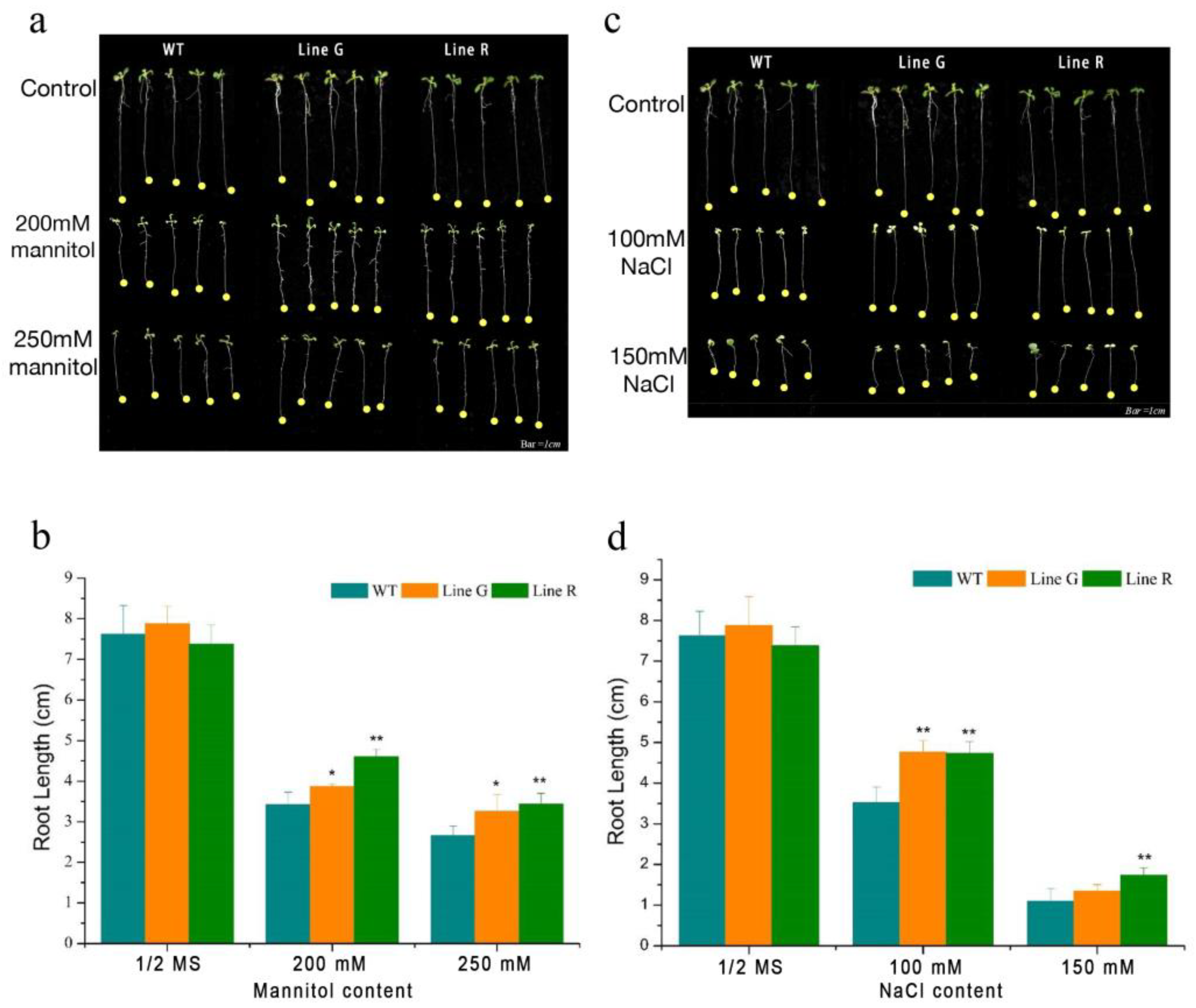 Ijms 23 08155 g002 Ijms 23 08155 g002