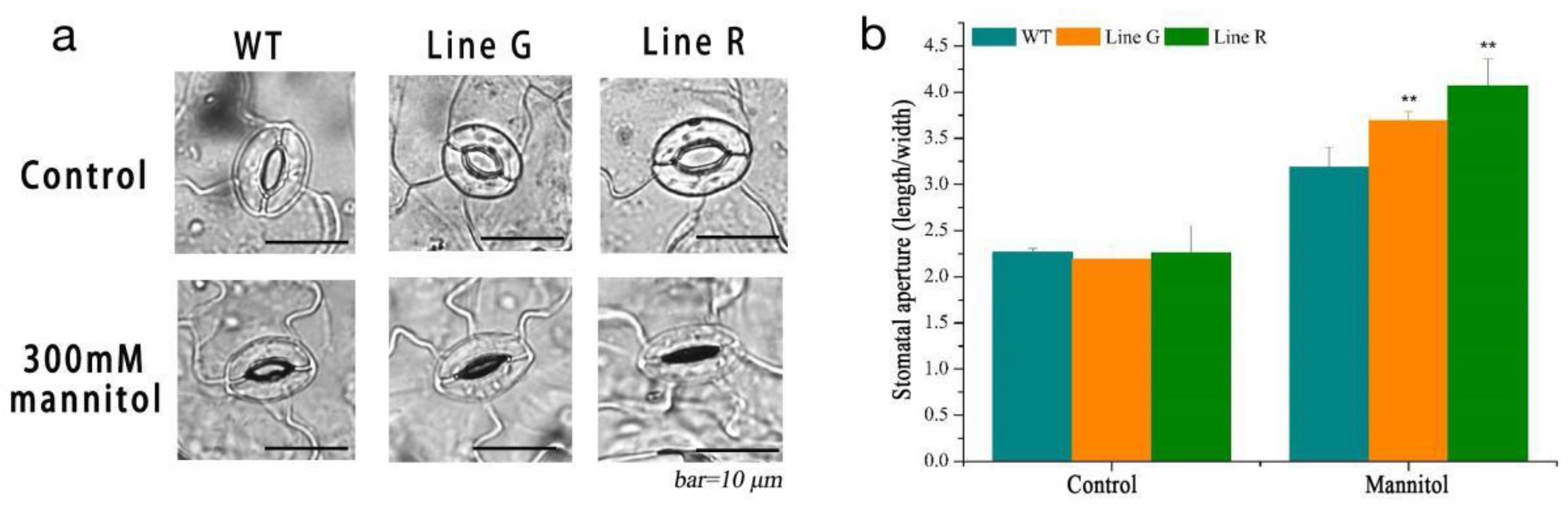 Ijms 23 08155 g005 Ijms 23 08155 g005