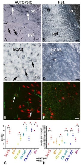 Ijms 23 08197 g006 550