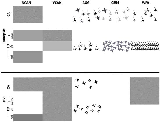 Ijms 23 08197 g008 550