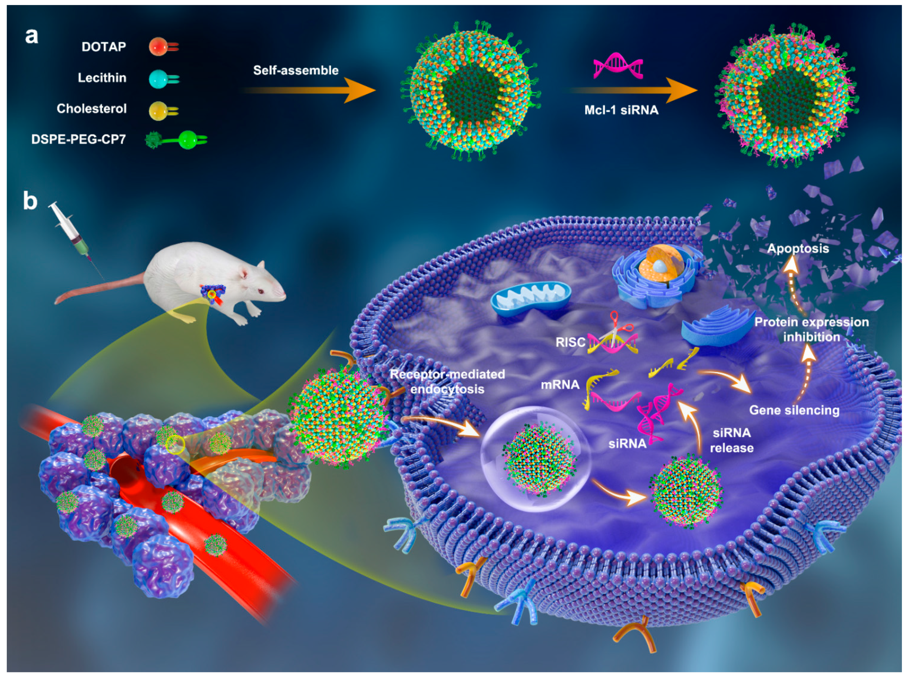 Ijms 23 08380 sch001