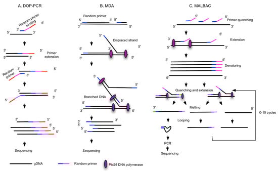 Ijms 23 08386 g002a 550