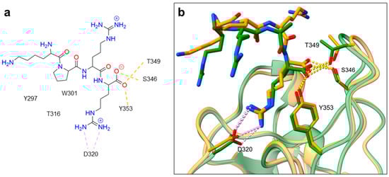 Ijms 23 08402 g002 550