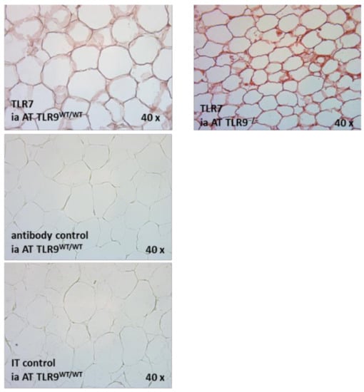 Ijms 23 08475 g0a2 550