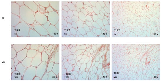 Ijms 23 08475 g0a6 550