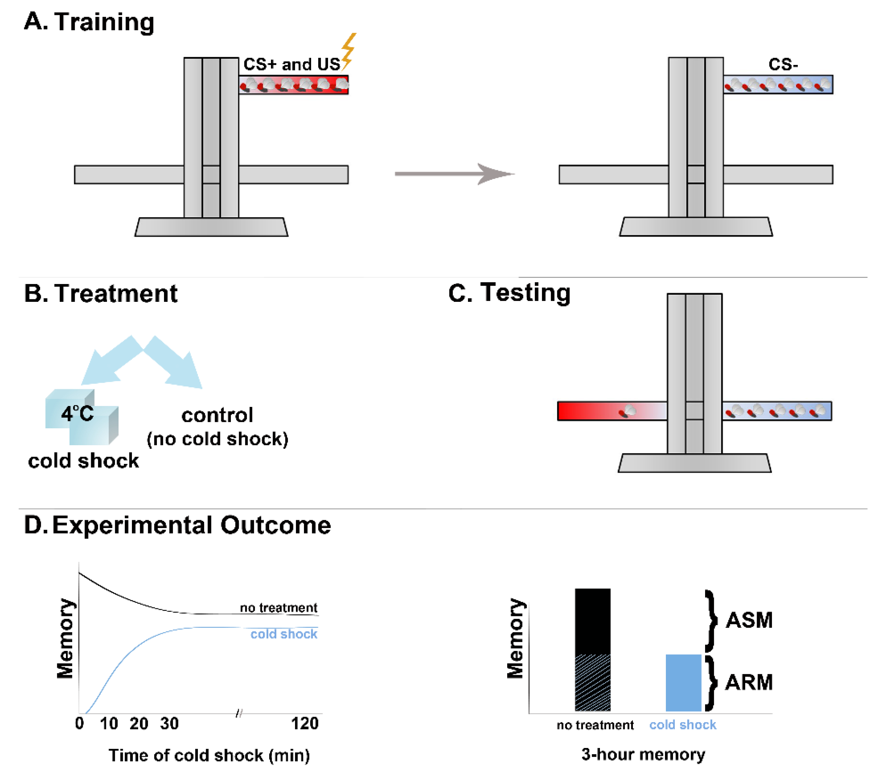 Ijms 23 08527 g001 Ijms 23 08527 g001
