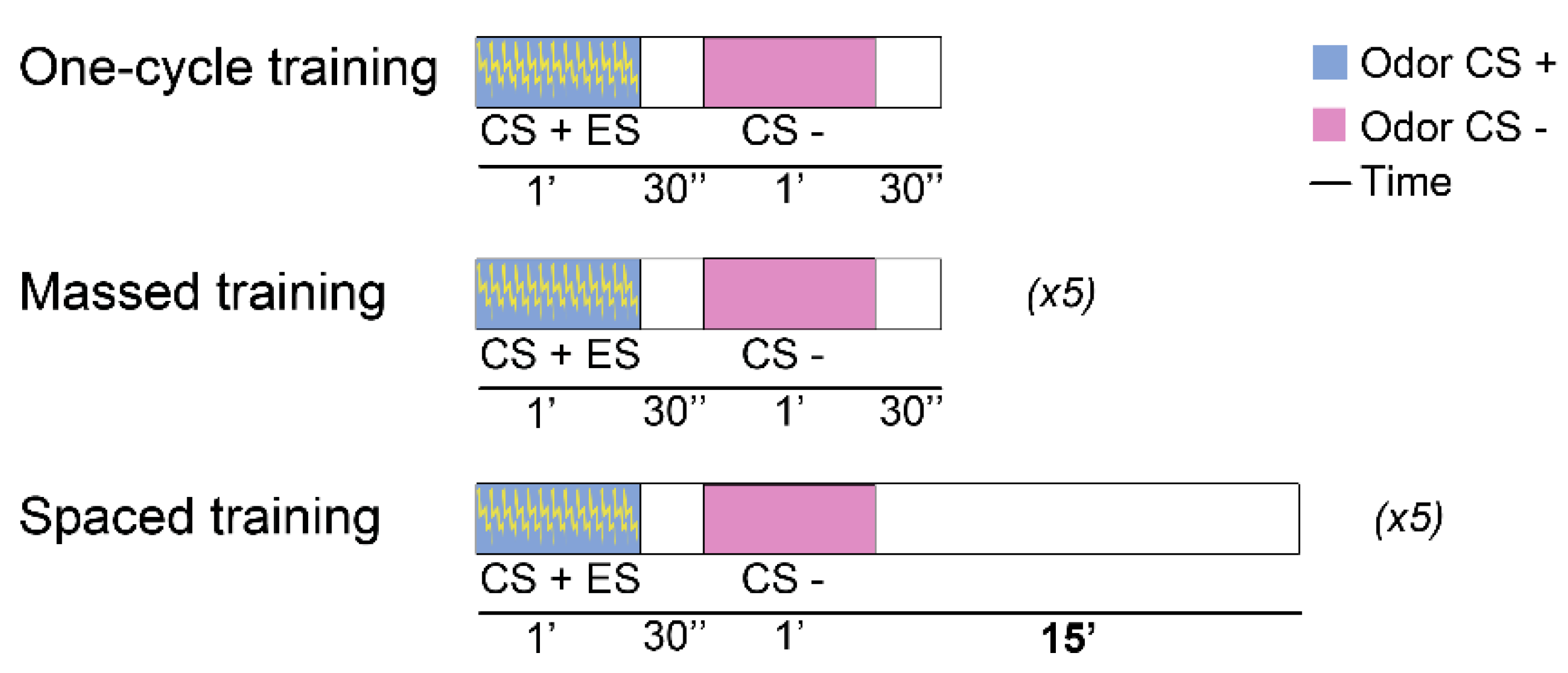 Ijms 23 08527 g002 Ijms 23 08527 g002