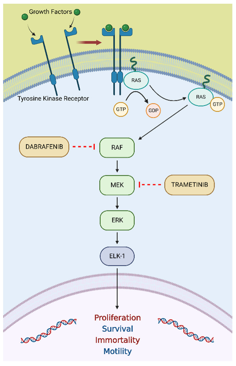 Ijms 23 08535 g004