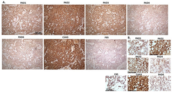 Ijms 23 08697 g011 550