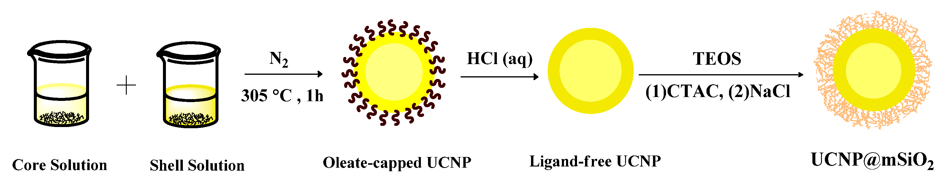 Ijms 23 08757 sch001