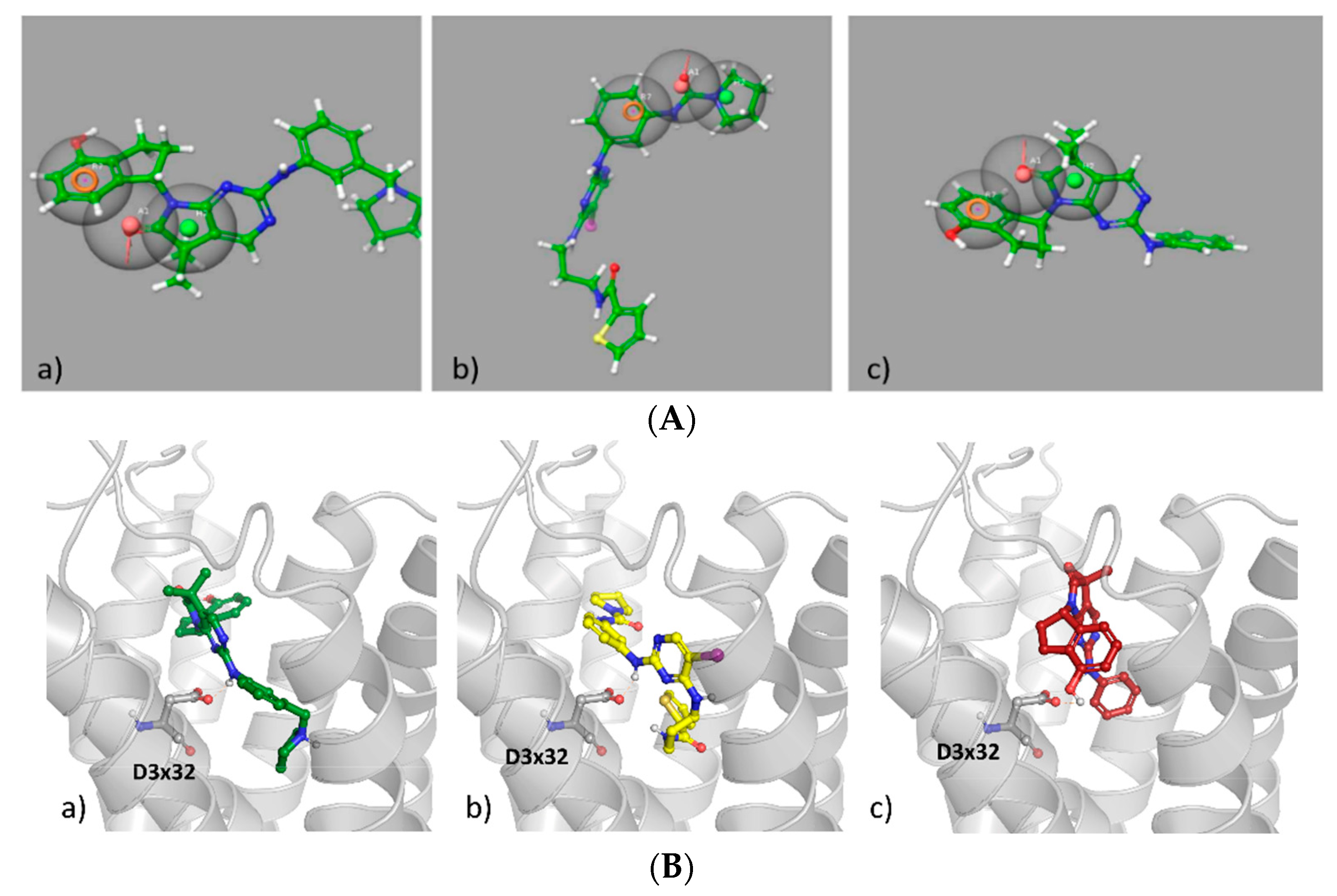 Ijms 23 08768 g009 Ijms 23 08768 g009