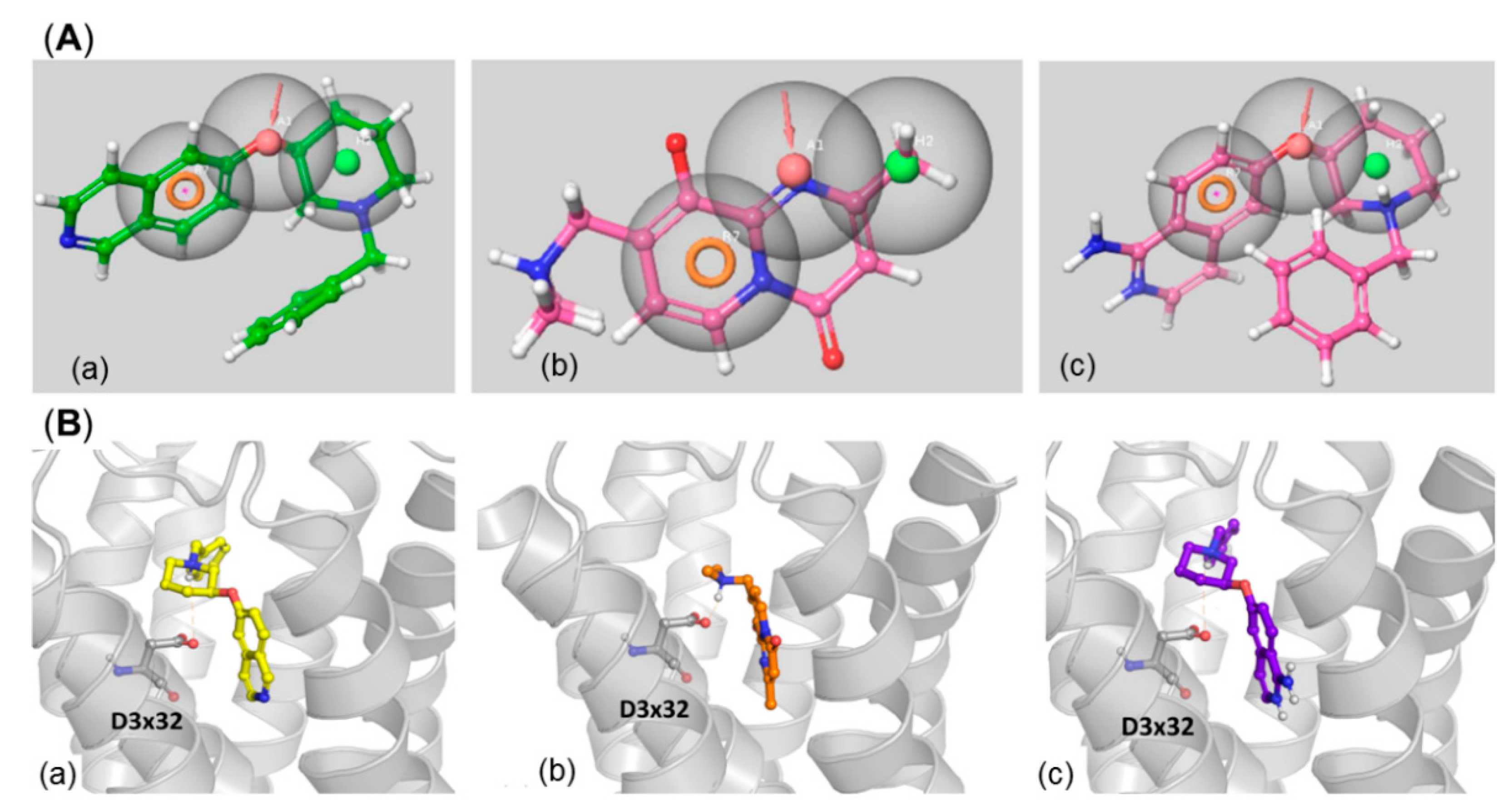 Ijms 23 08768 g012 Ijms 23 08768 g012