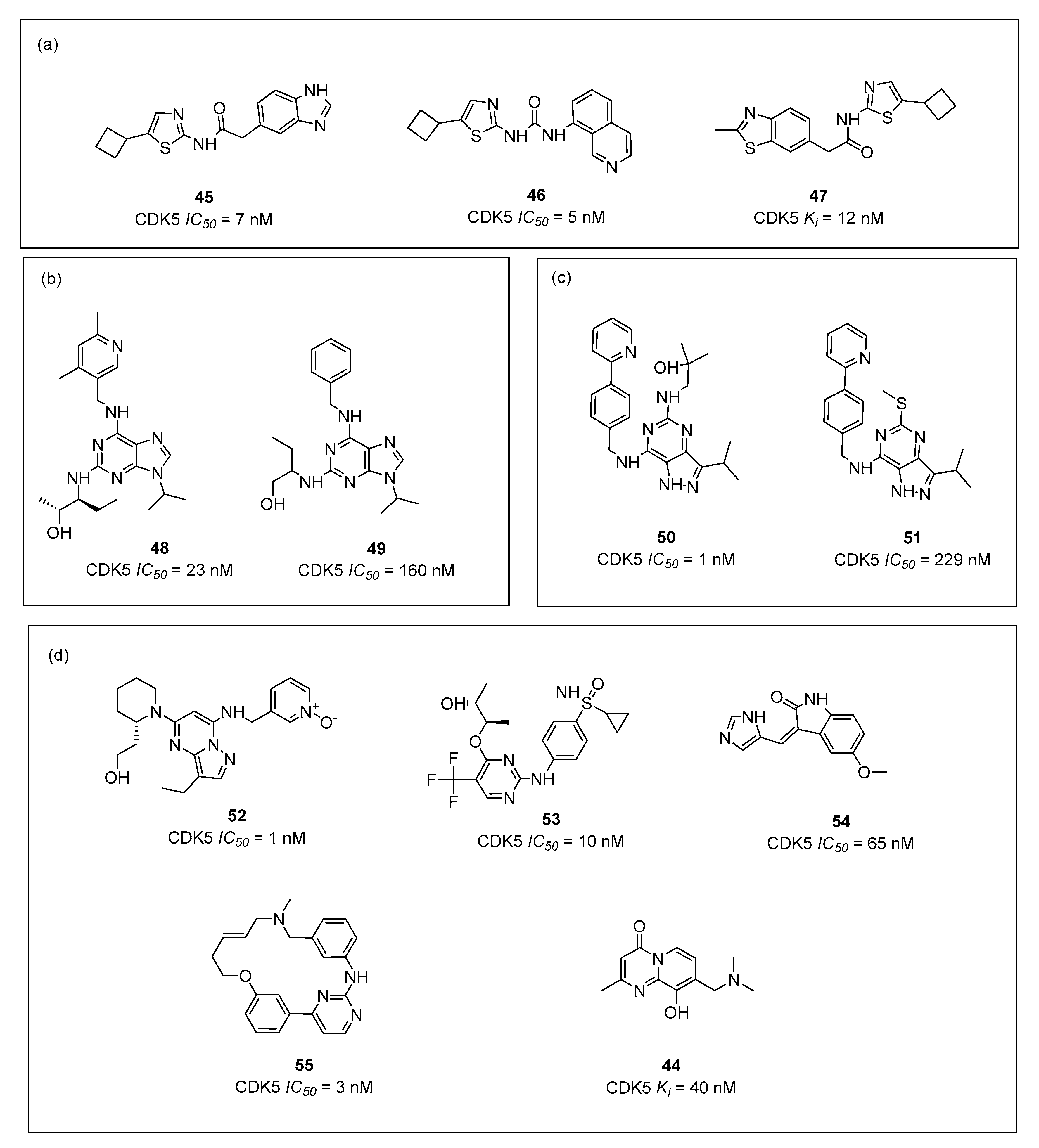 Ijms 23 08768 g013 Ijms 23 08768 g013