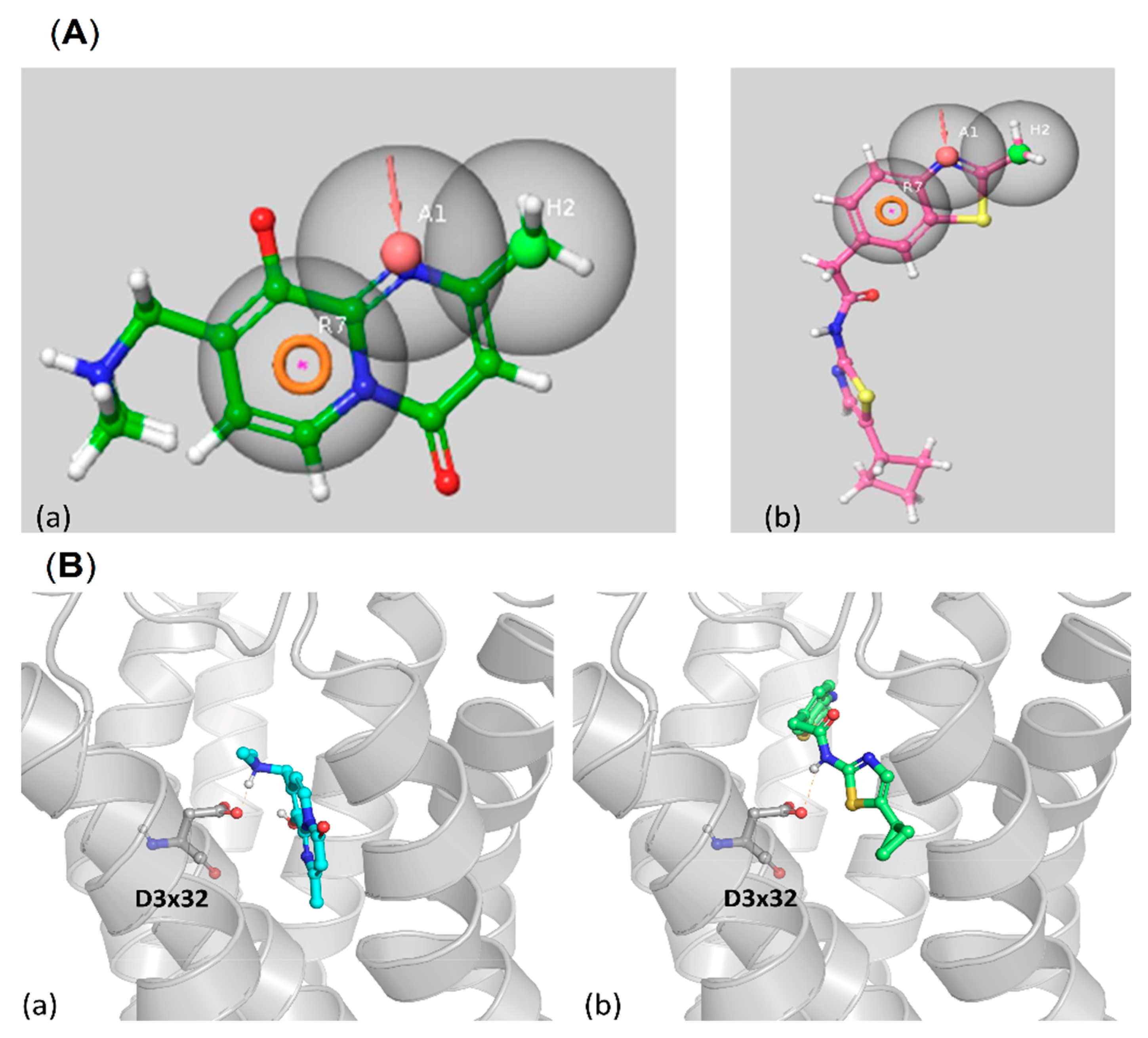 Ijms 23 08768 g016 Ijms 23 08768 g016