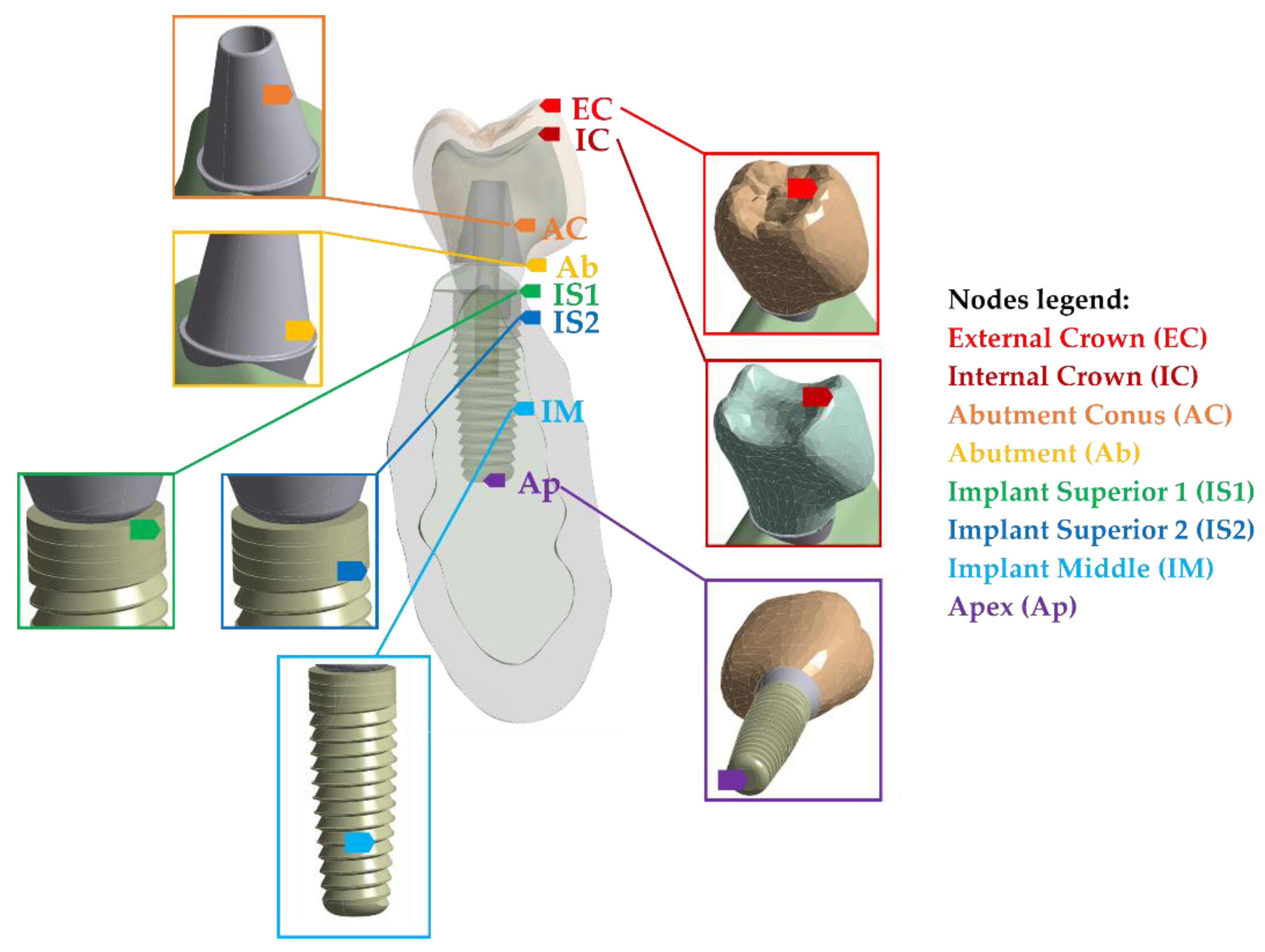 Ijms 23 08769 g004 Ijms 23 08769 g004