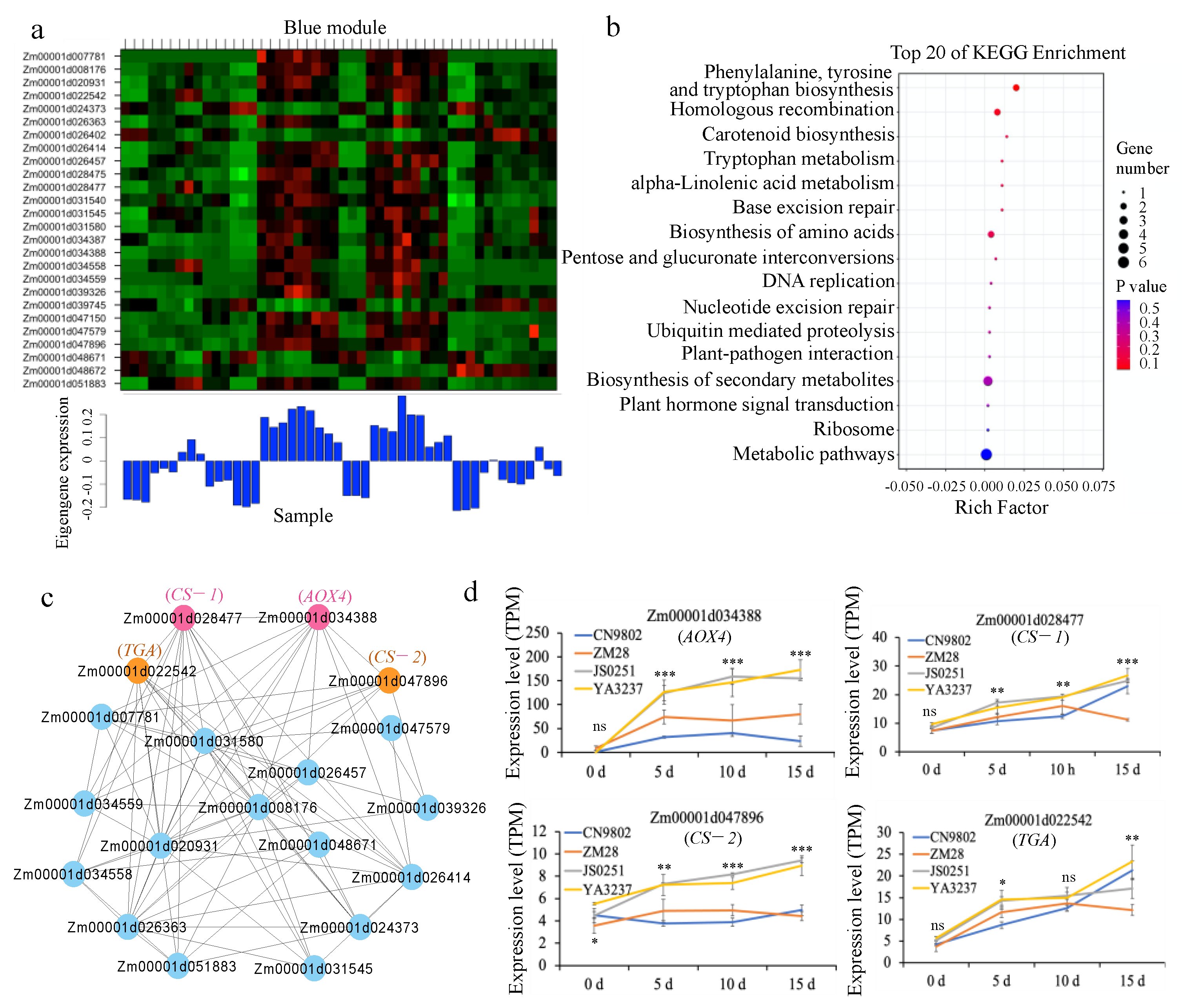 Ijms 23 08786 g004 Ijms 23 08786 g004