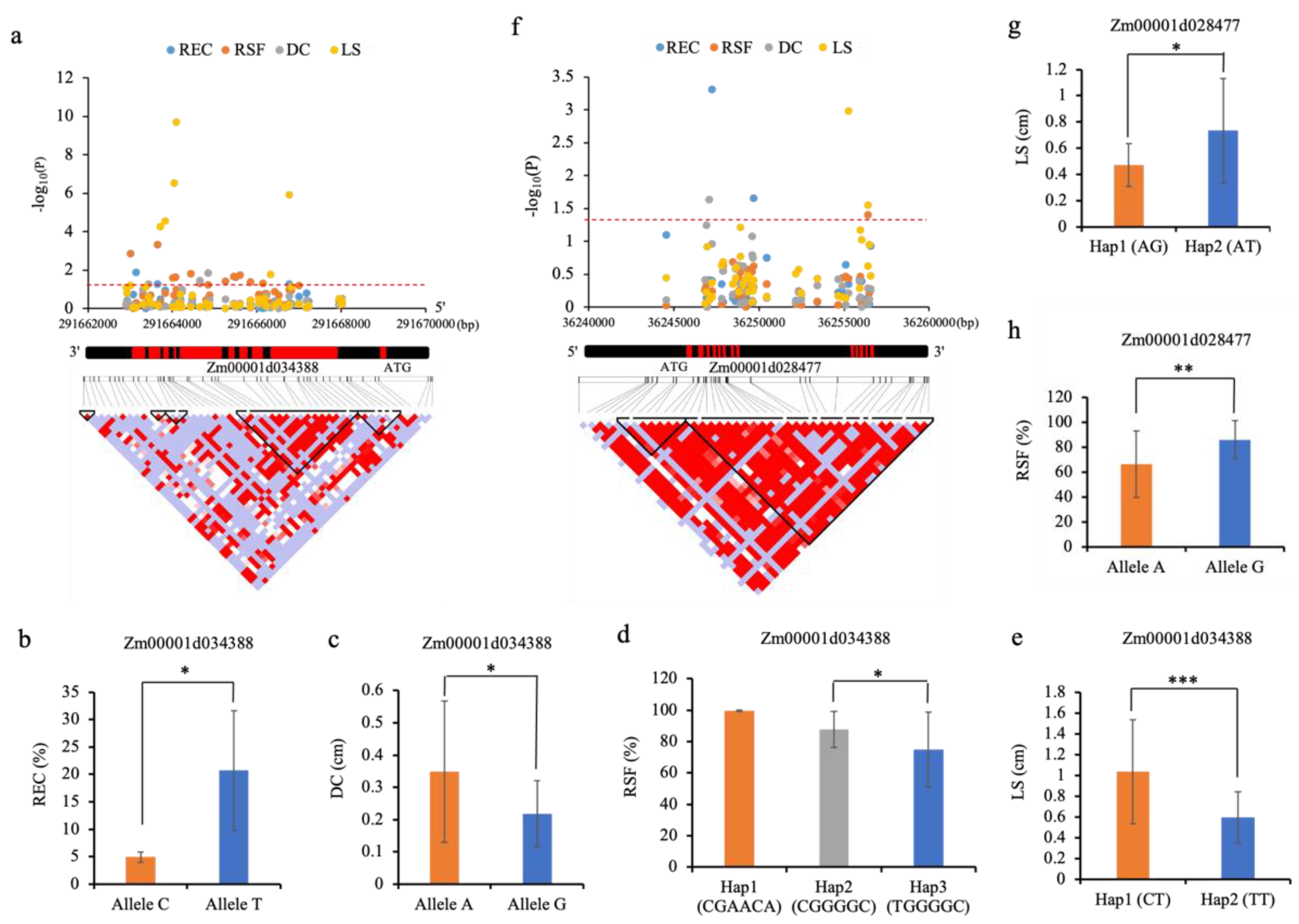 Ijms 23 08786 g005 Ijms 23 08786 g005