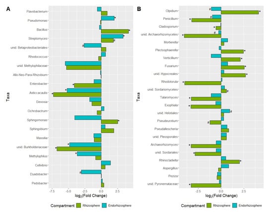 Ijms 23 08820 g007 550
