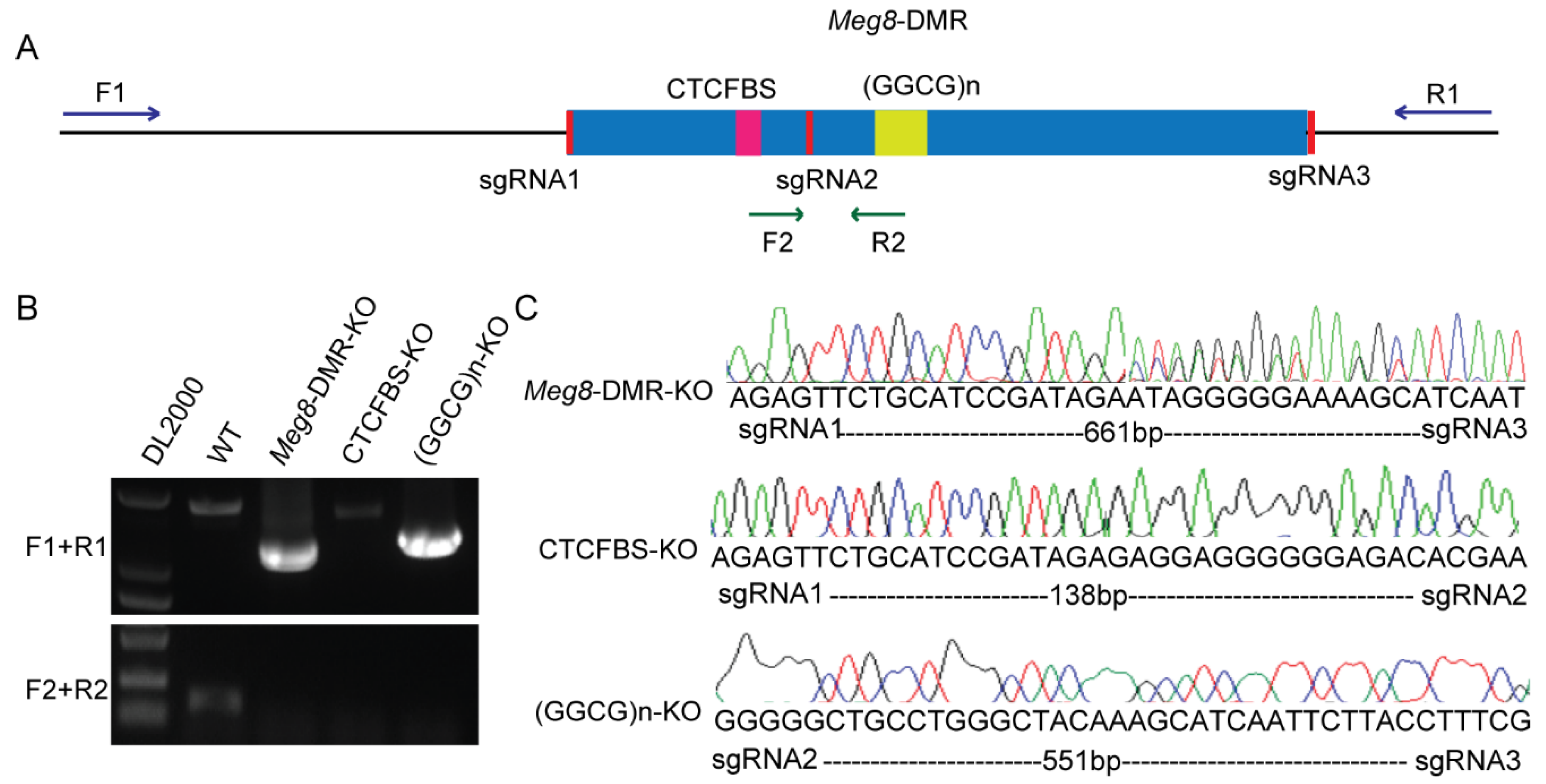 Ijms 23 08828 g002 Ijms 23 08828 g002