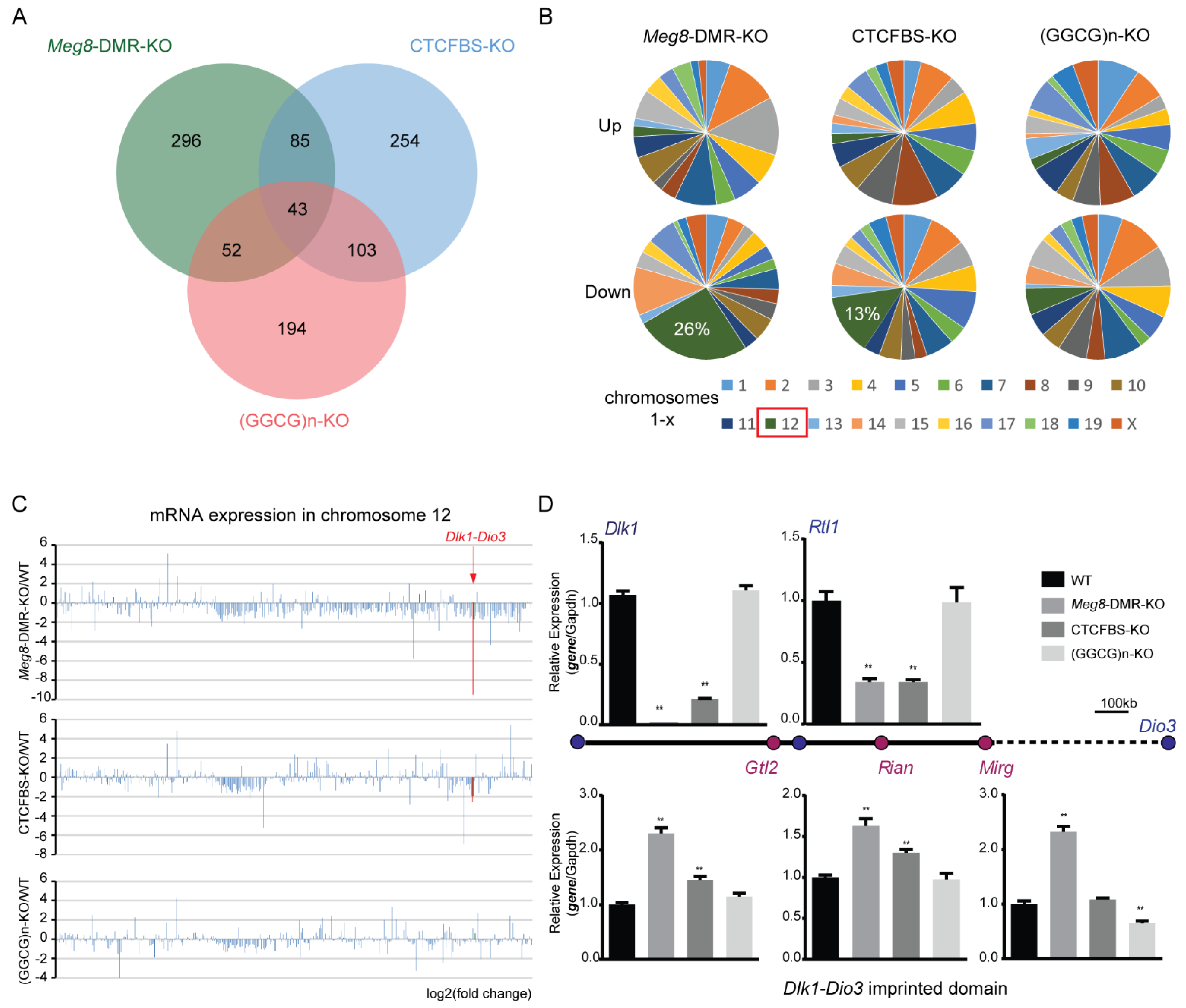 Ijms 23 08828 g003 Ijms 23 08828 g003