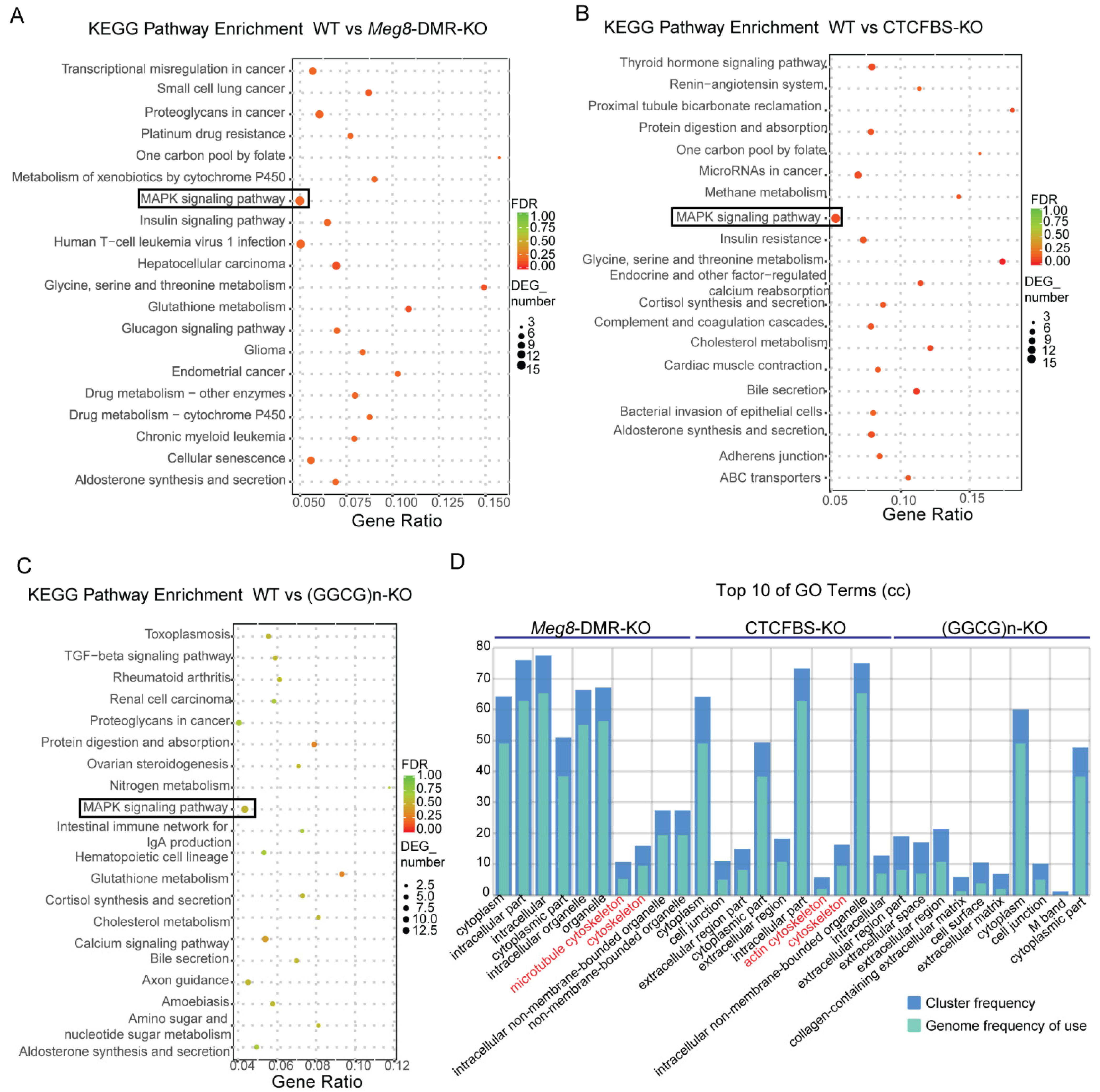 Ijms 23 08828 g004 Ijms 23 08828 g004