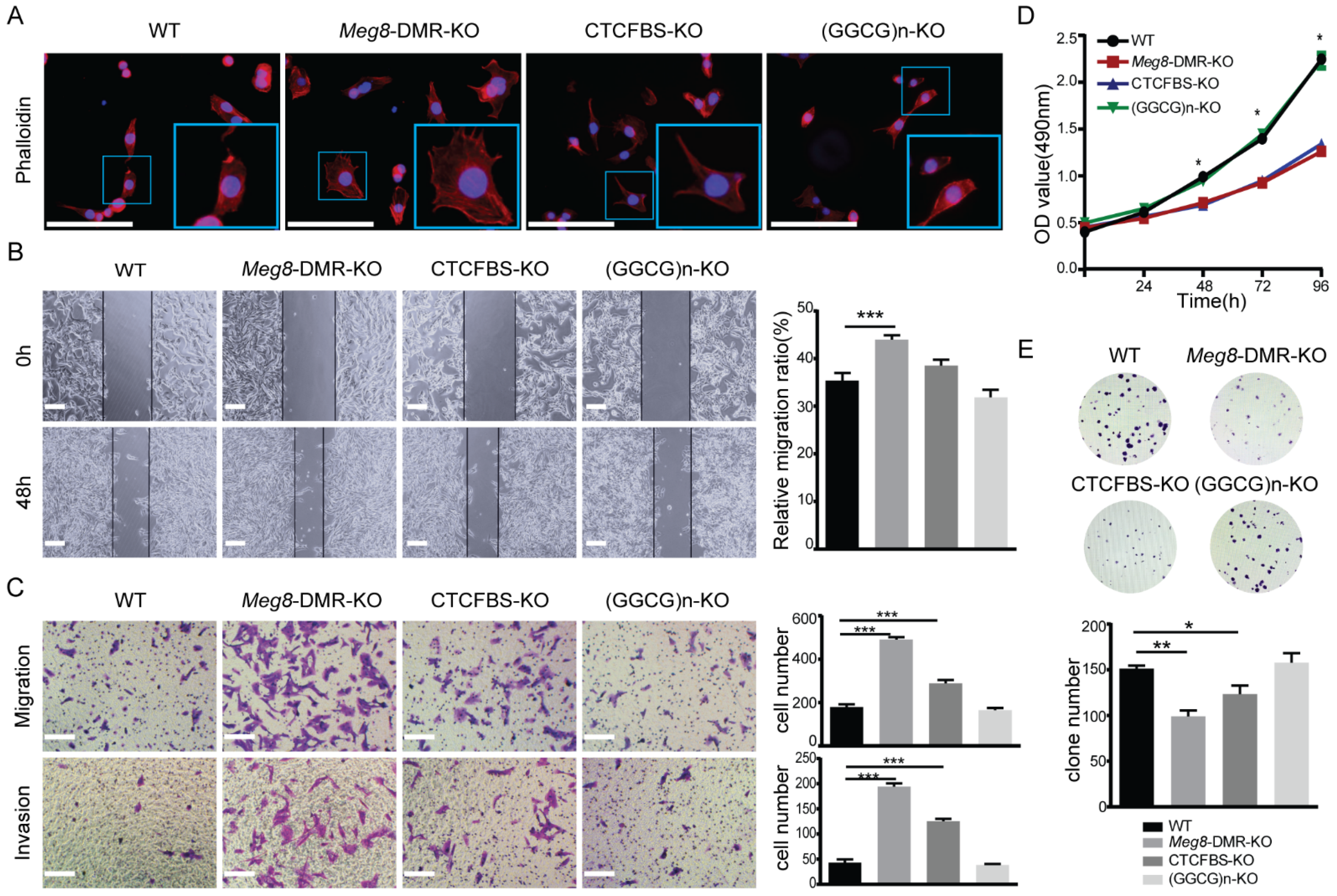 Ijms 23 08828 g005 Ijms 23 08828 g005