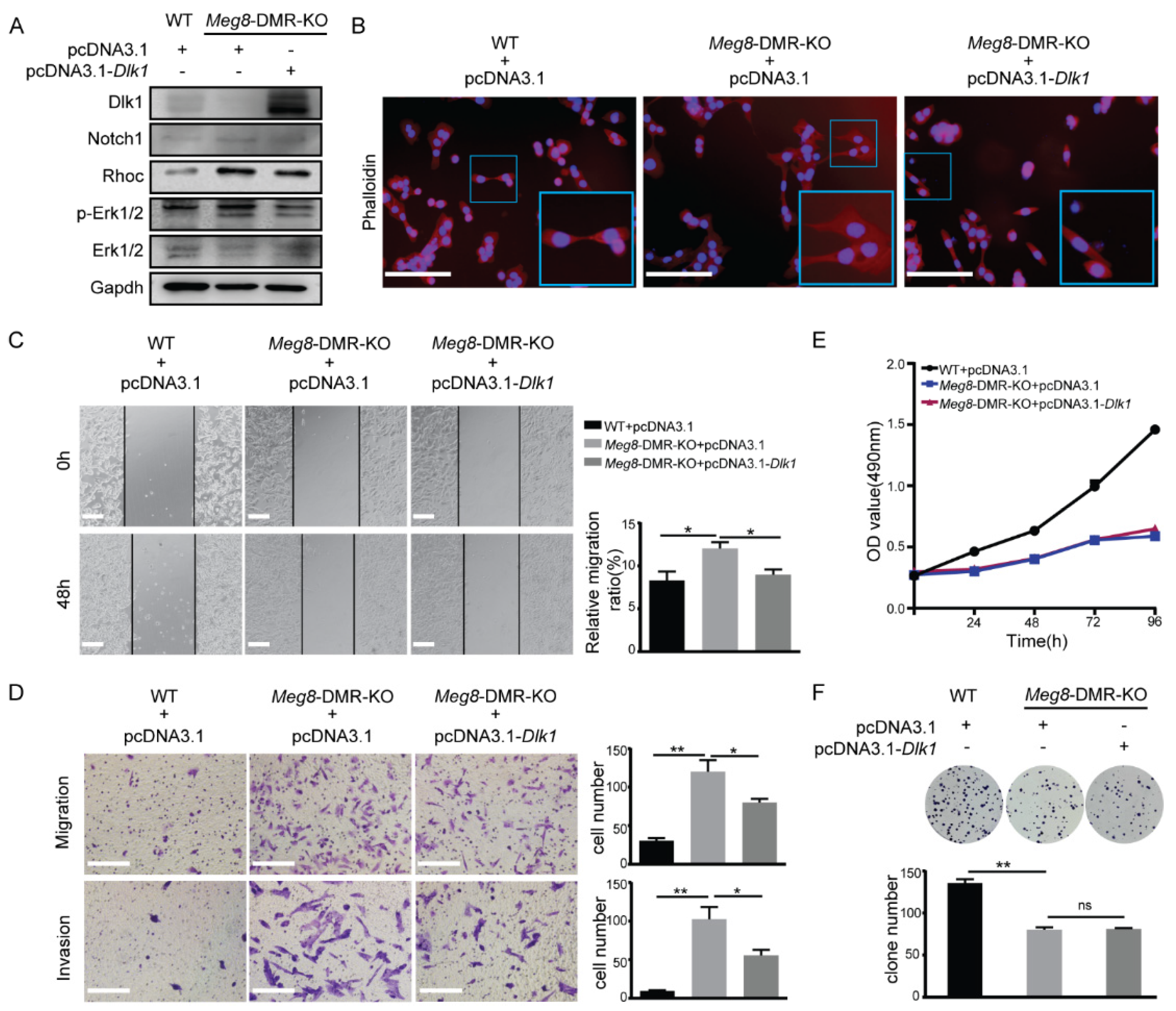 Ijms 23 08828 g006 Ijms 23 08828 g006