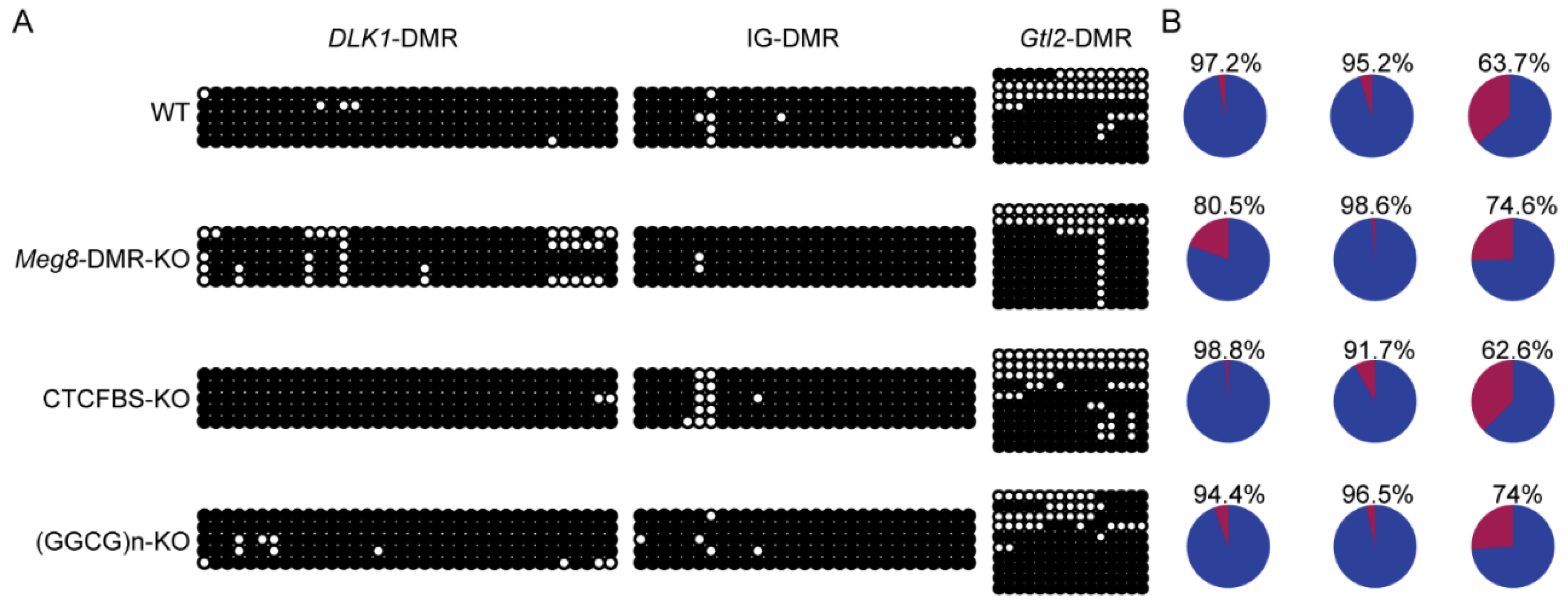 Ijms 23 08828 g007 Ijms 23 08828 g007