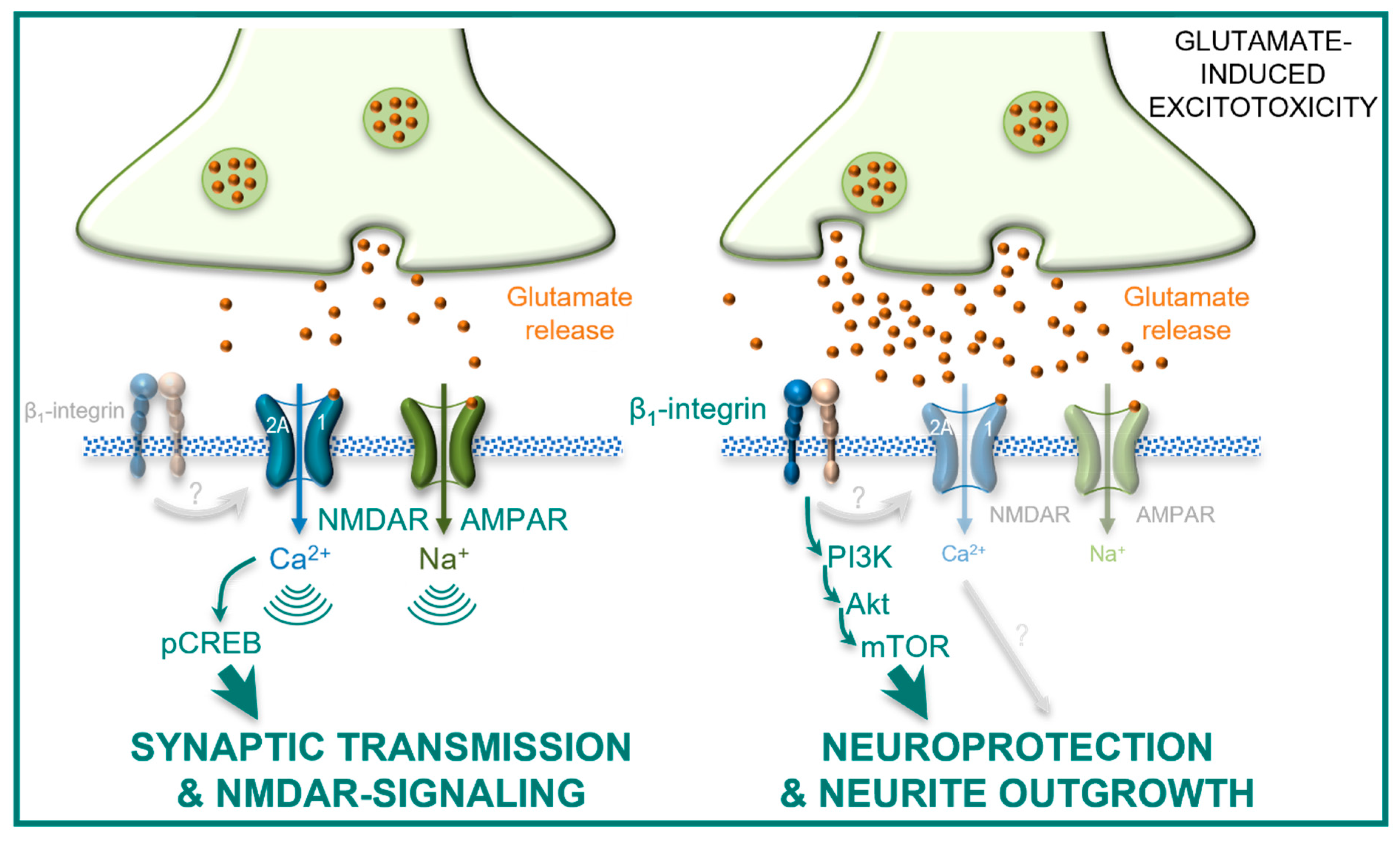 Ijms 23 08867 sch001