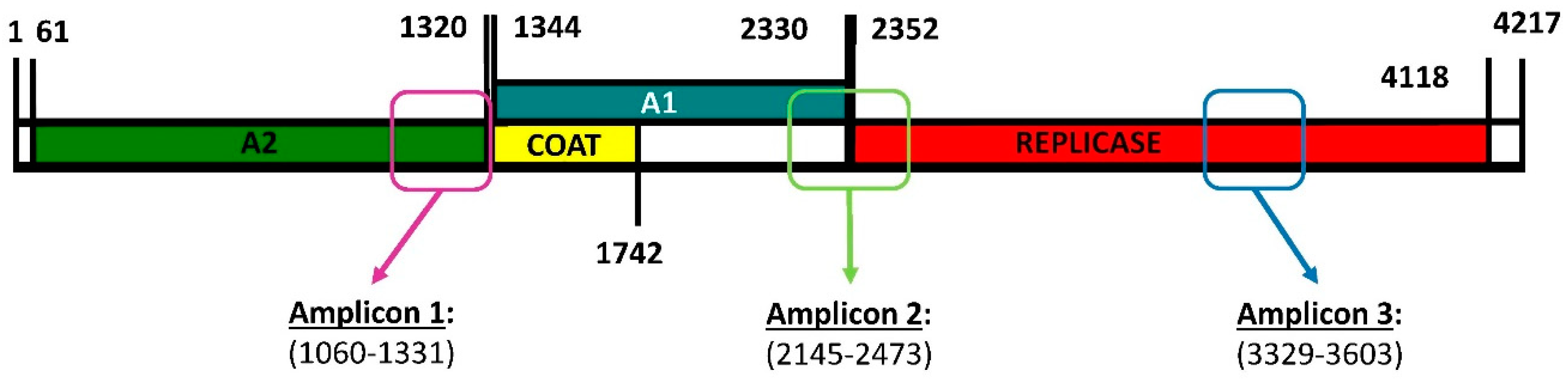 Ijms 23 08876 g001 Ijms 23 08876 g001