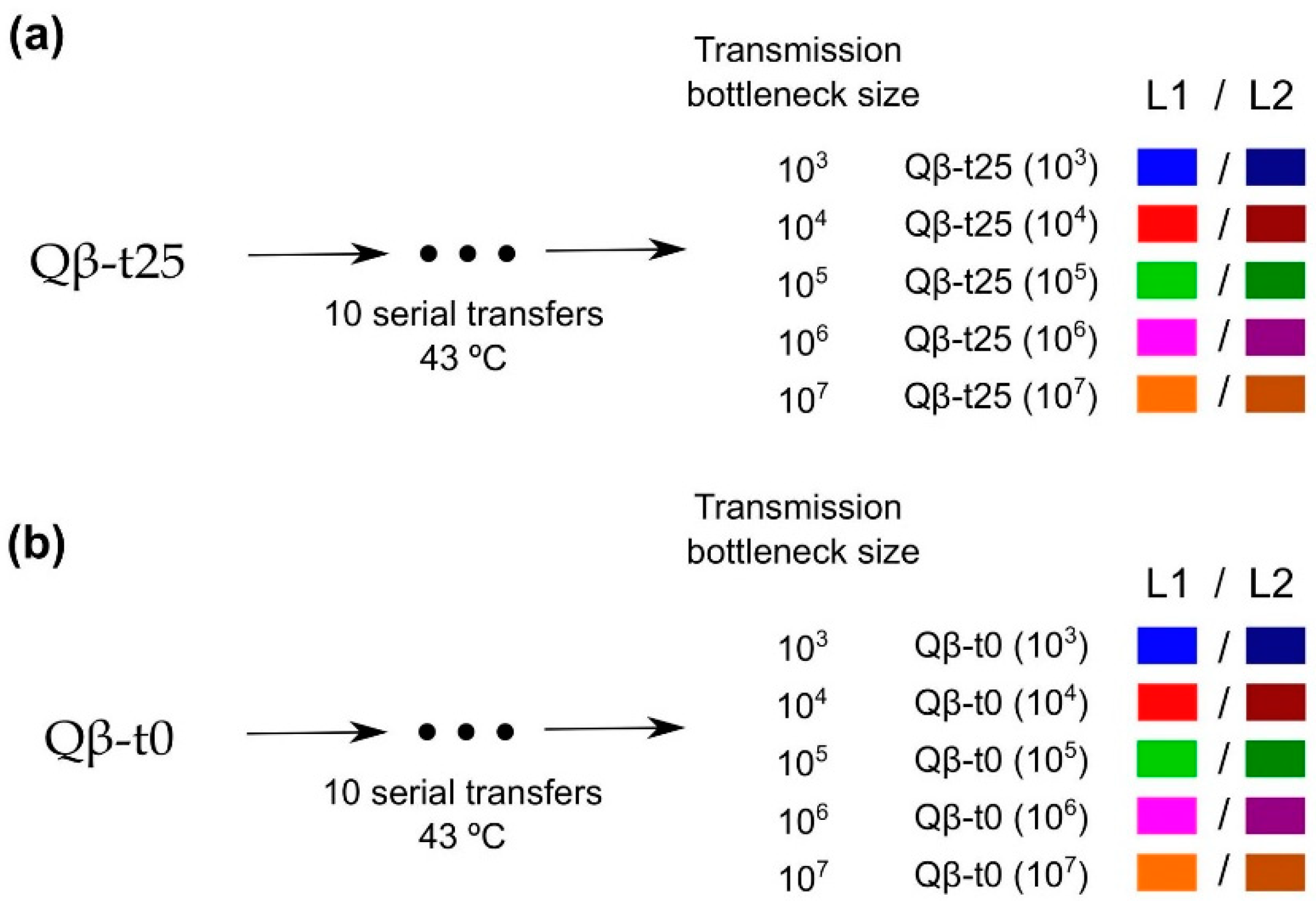 Ijms 23 08876 g002 Ijms 23 08876 g002