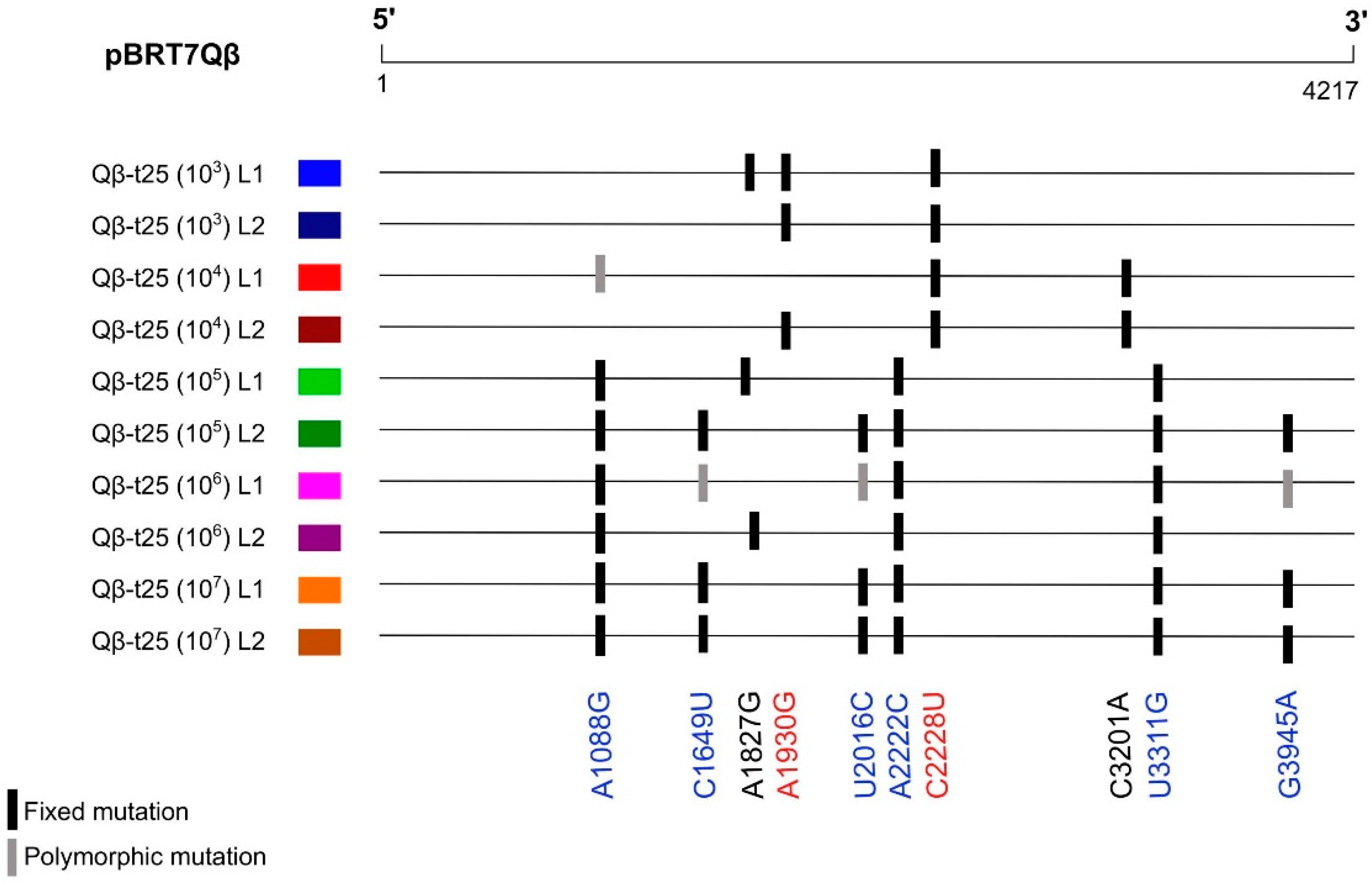 Ijms 23 08876 g003 Ijms 23 08876 g003