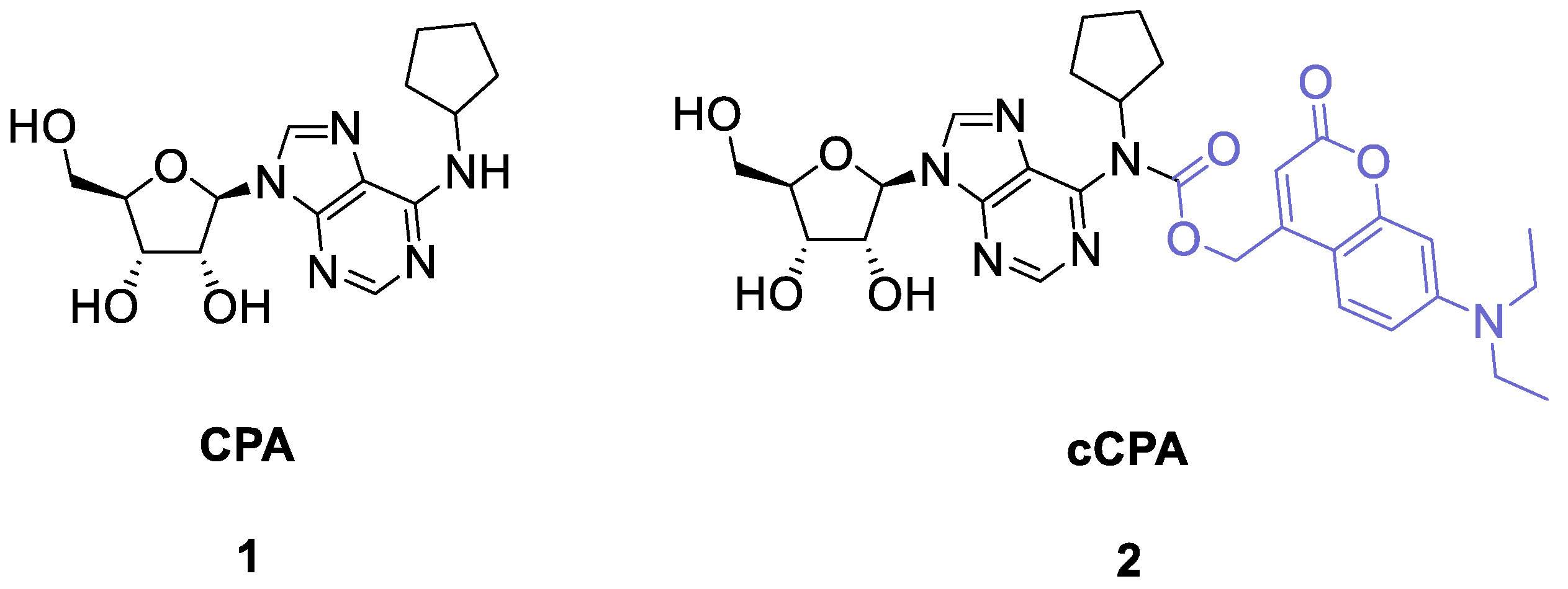 Ijms 23 08887 sch001