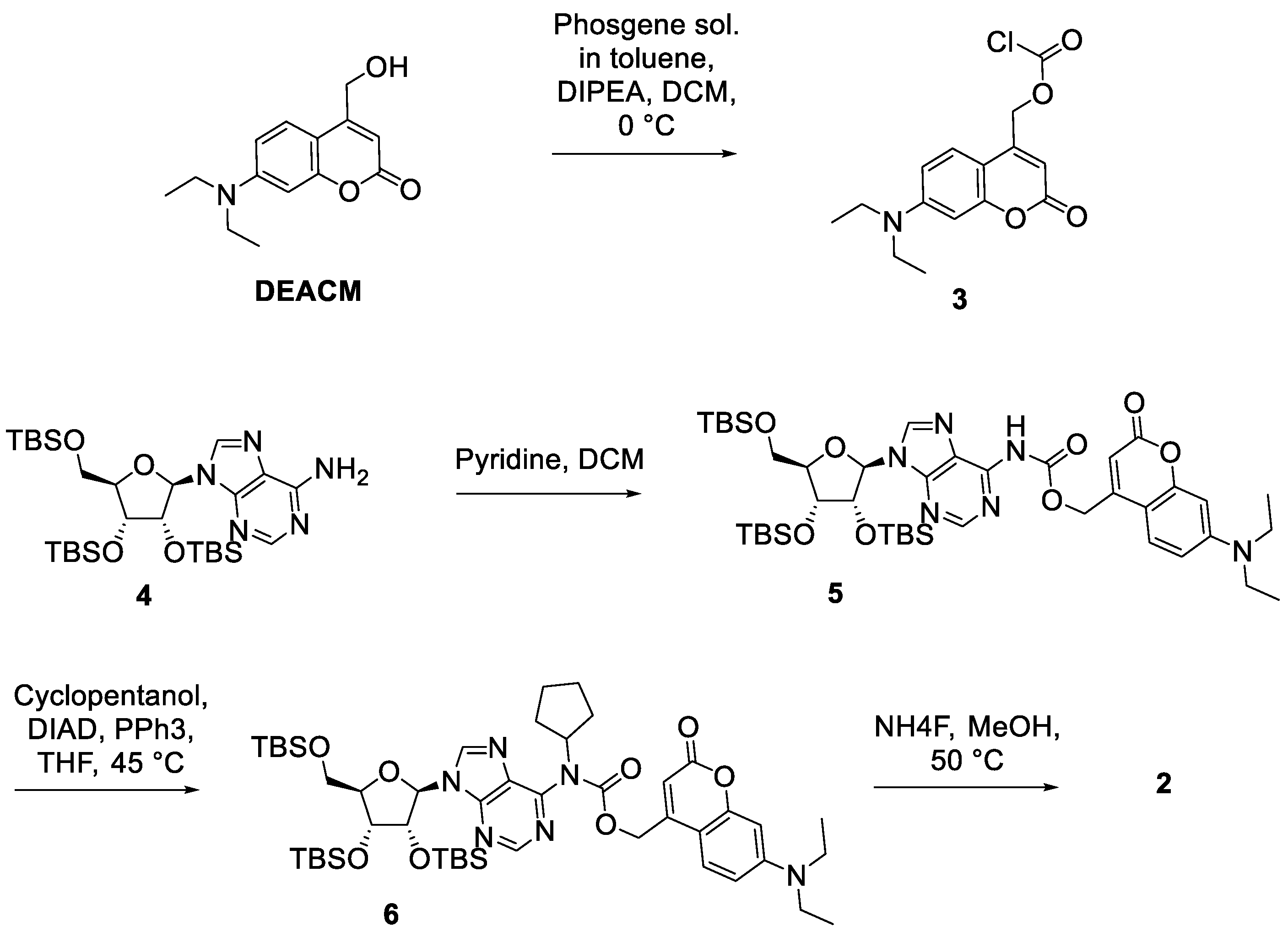 Ijms 23 08887 sch002