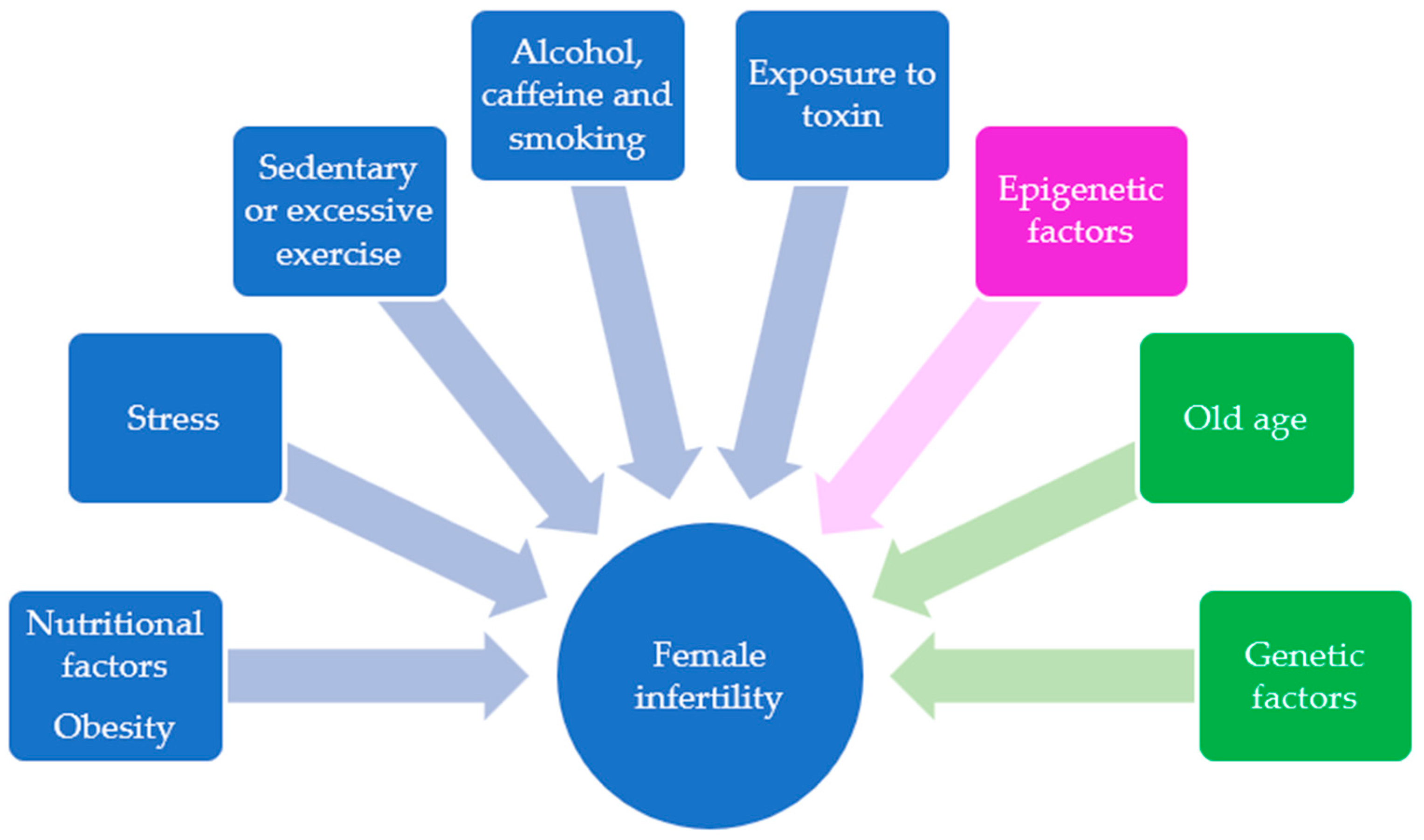 Ijms 23 08890 g001 Ijms 23 08890 g001