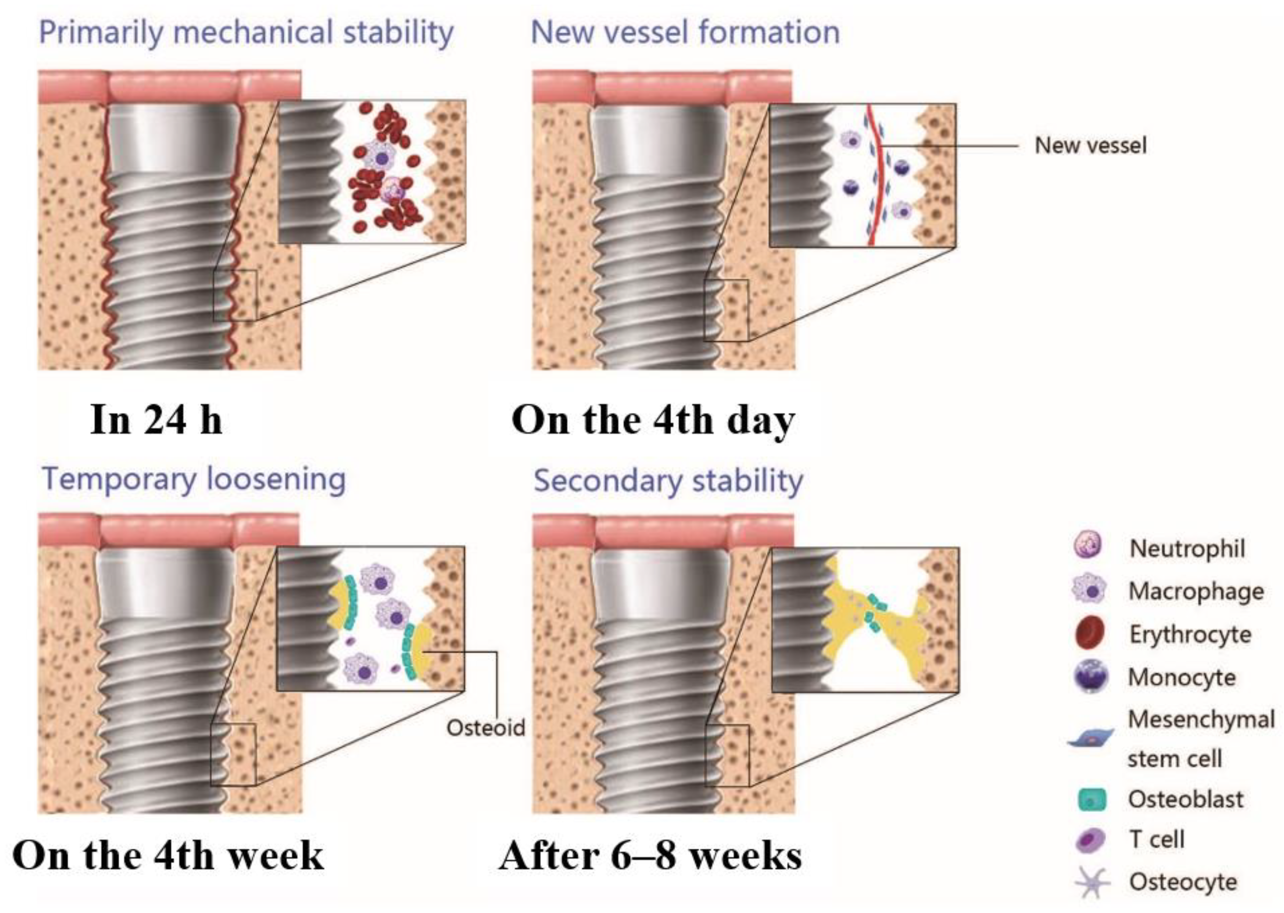 Ijms 23 08893 g001 Ijms 23 08893 g001