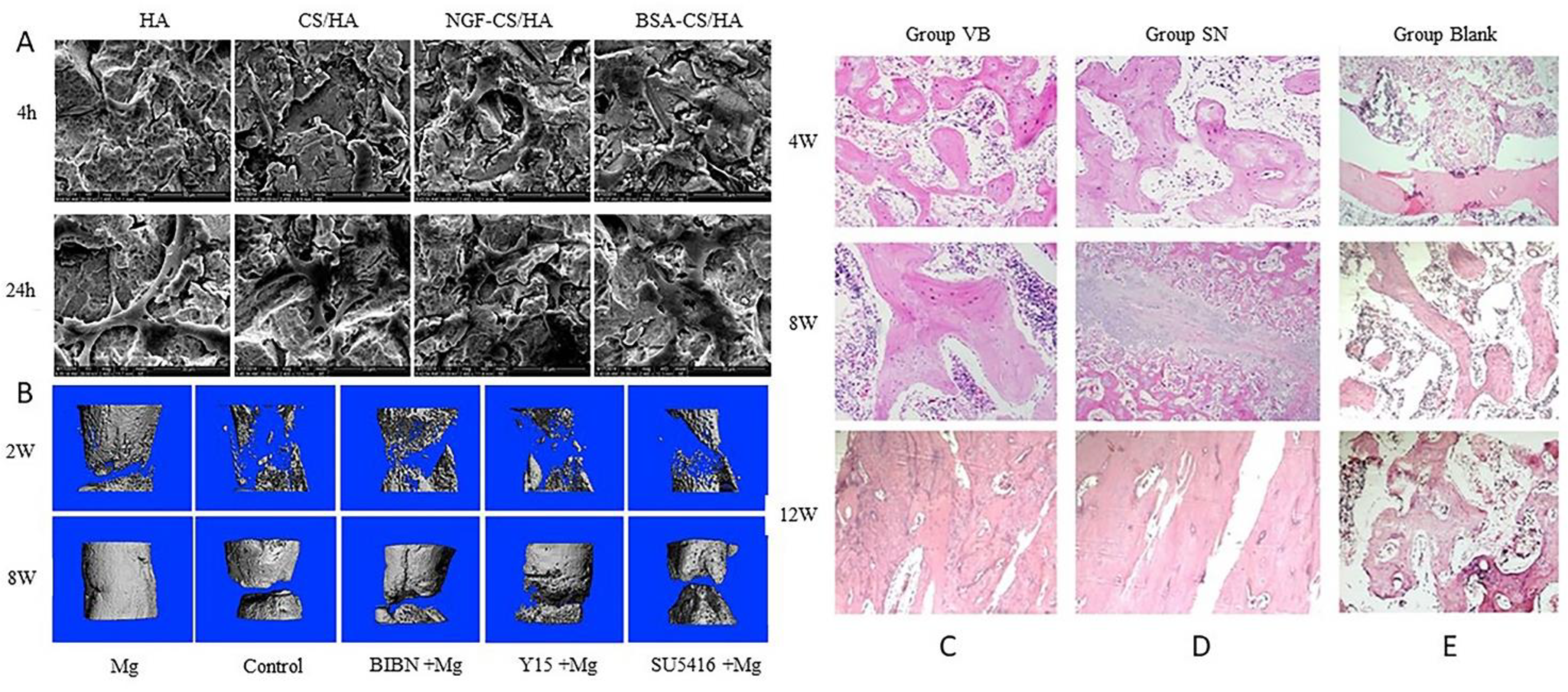 Ijms 23 08893 g003 Ijms 23 08893 g003