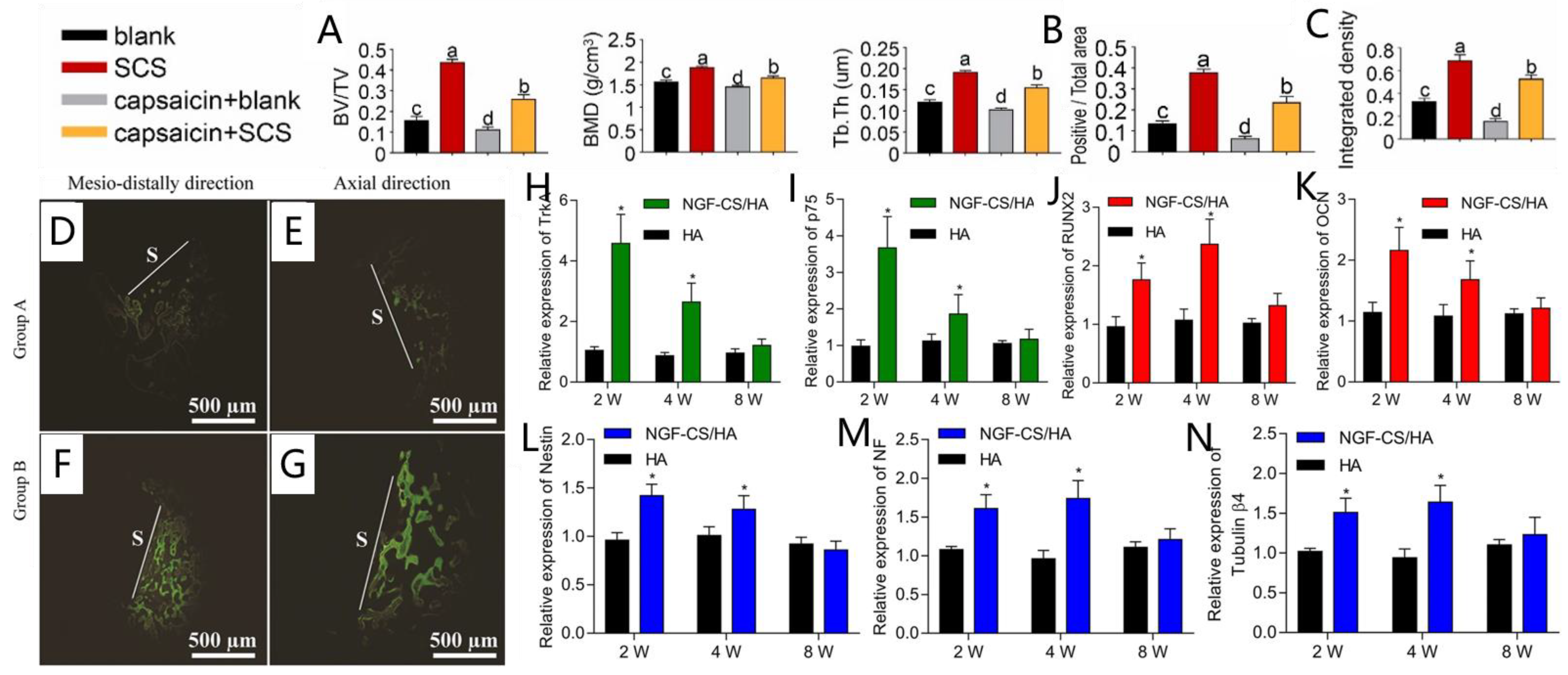 Ijms 23 08893 g004 Ijms 23 08893 g004