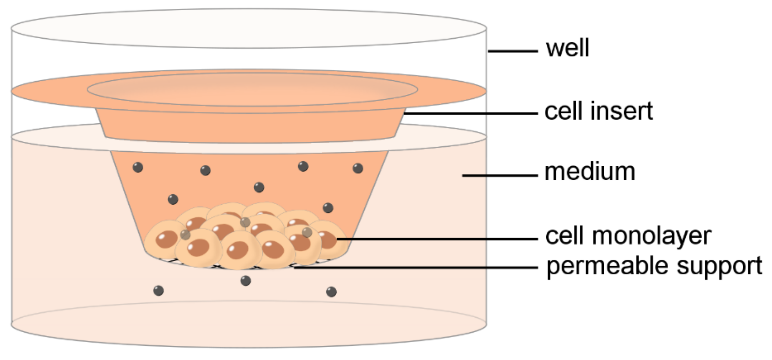 Ijms 23 08910 g001 Ijms 23 08910 g001