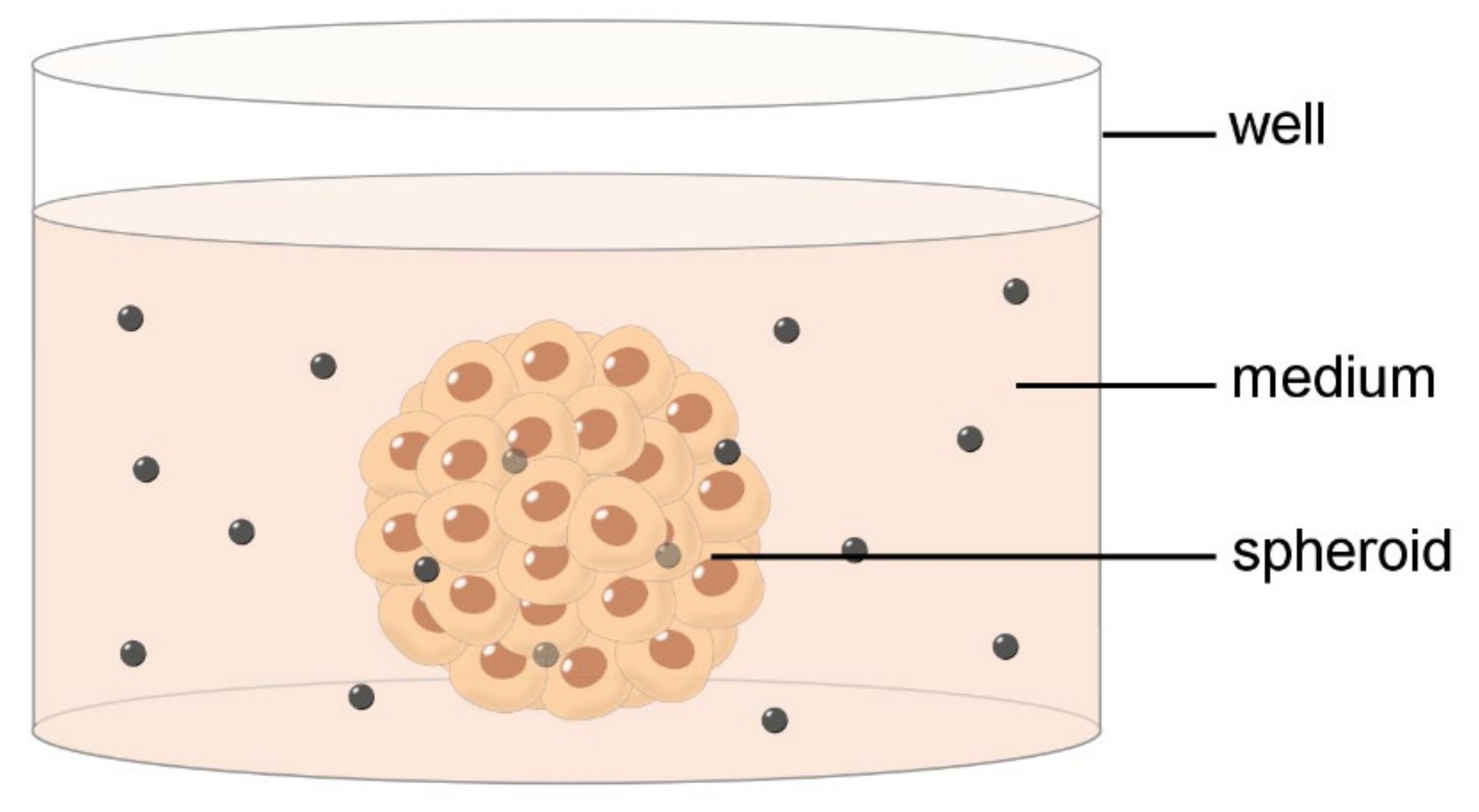 Ijms 23 08910 g002 Ijms 23 08910 g002