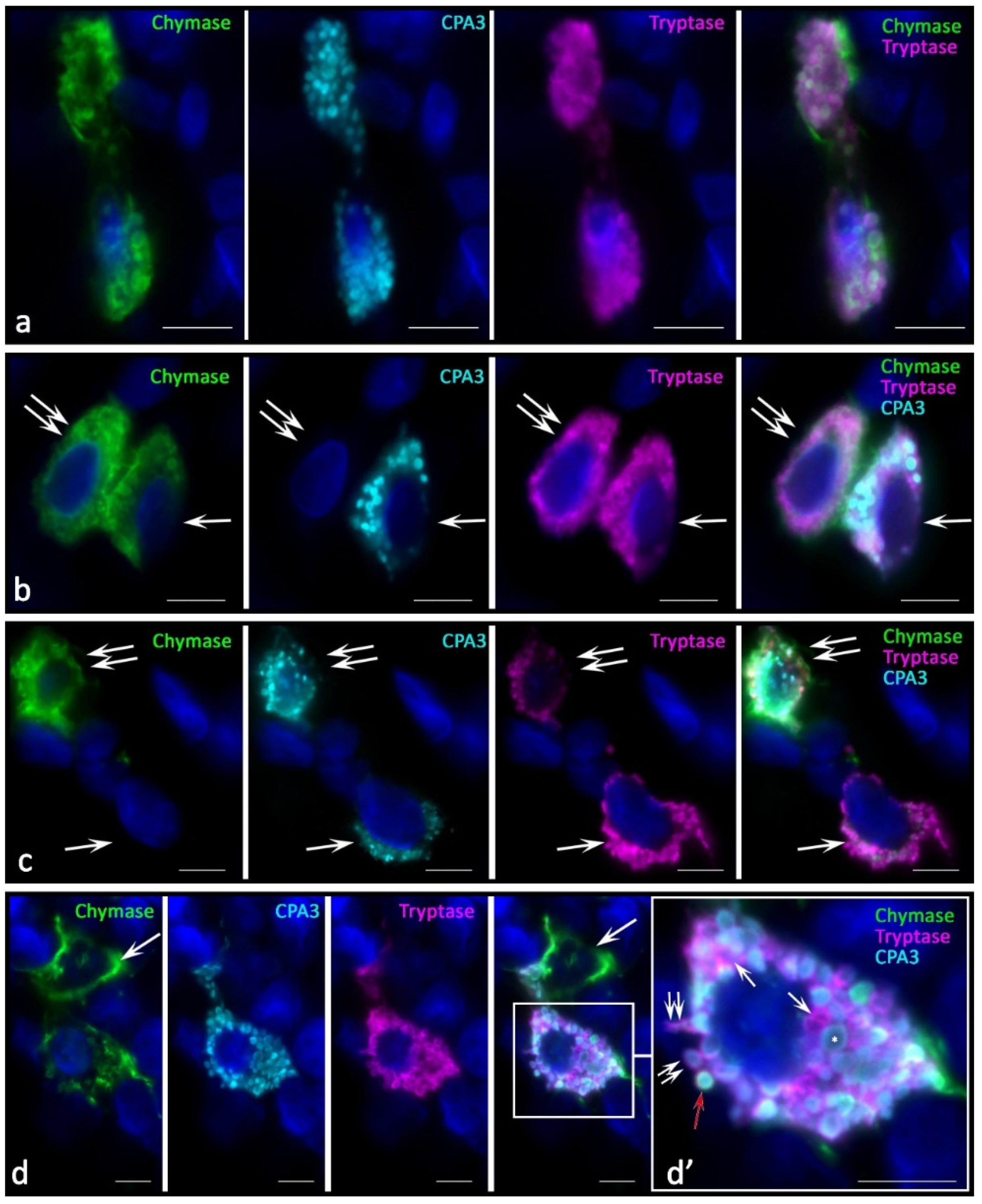 Ijms 23 08930 g002 Ijms 23 08930 g002